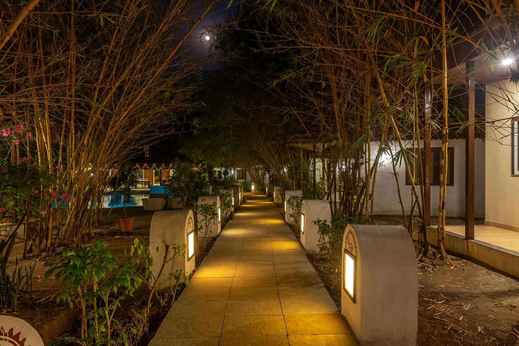 Night in WilderNest Araanya by Vibescapes