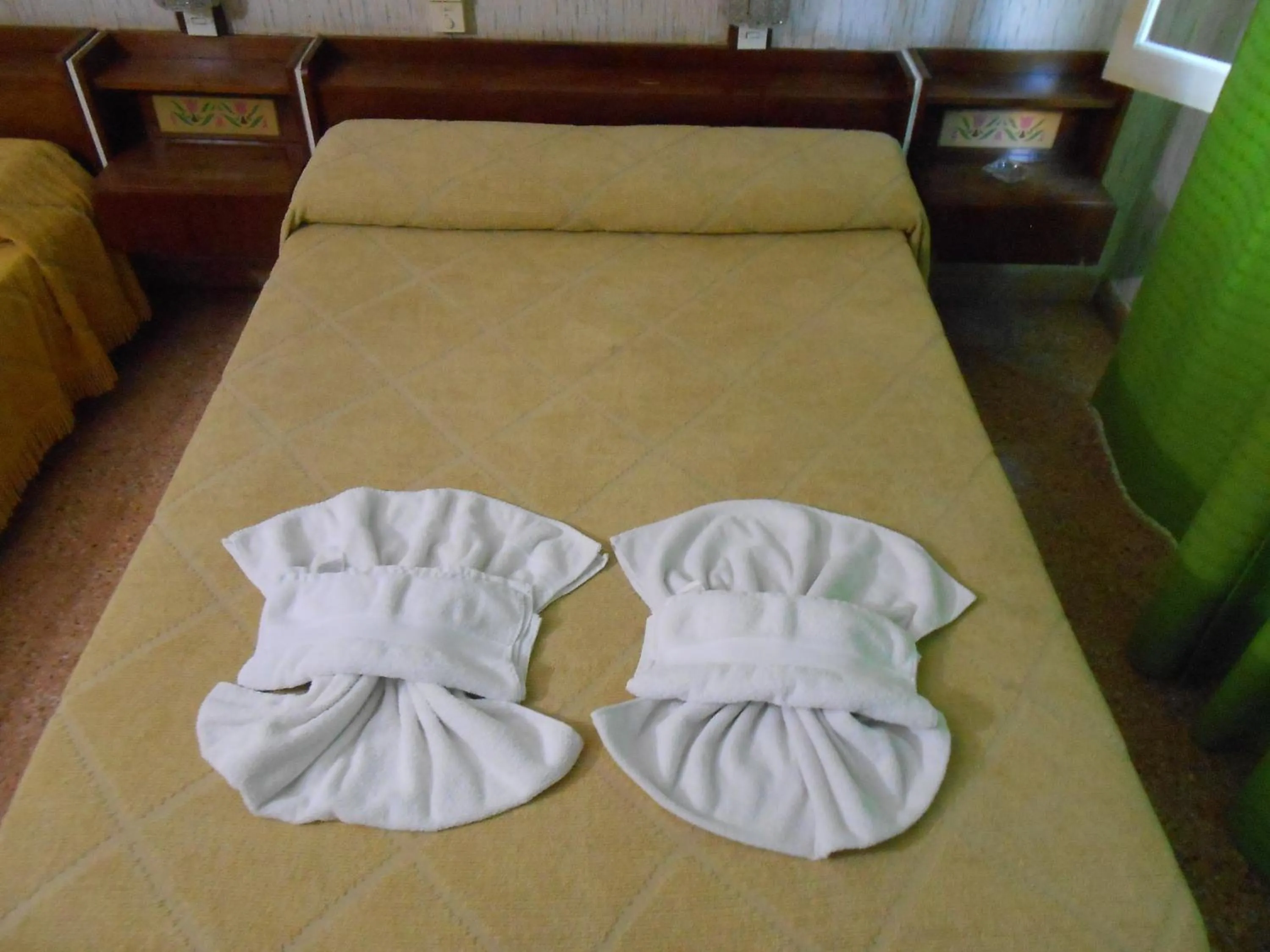 Hotel Danubio