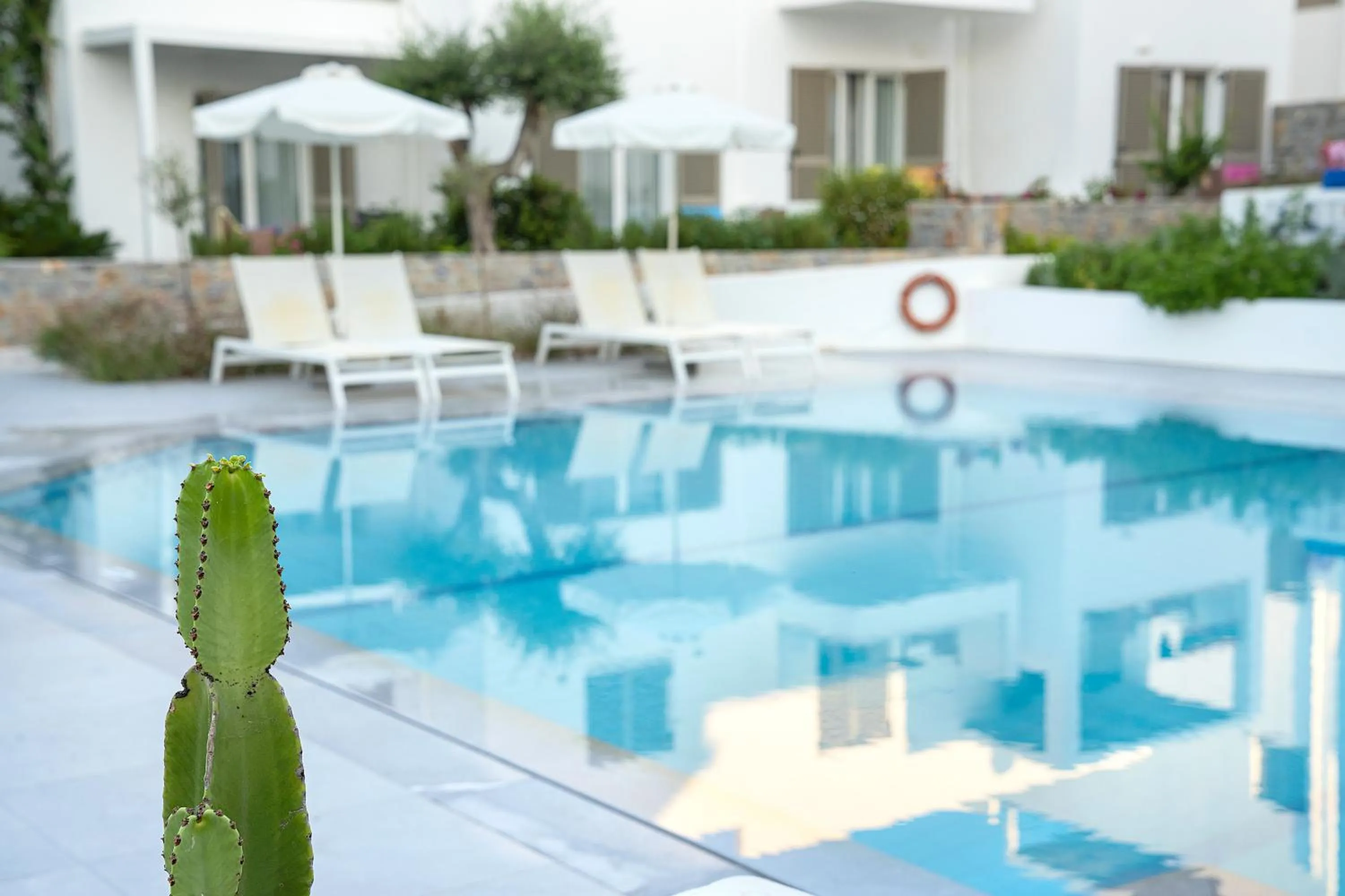 Swimming pool in Maritimo Beach Hotel
