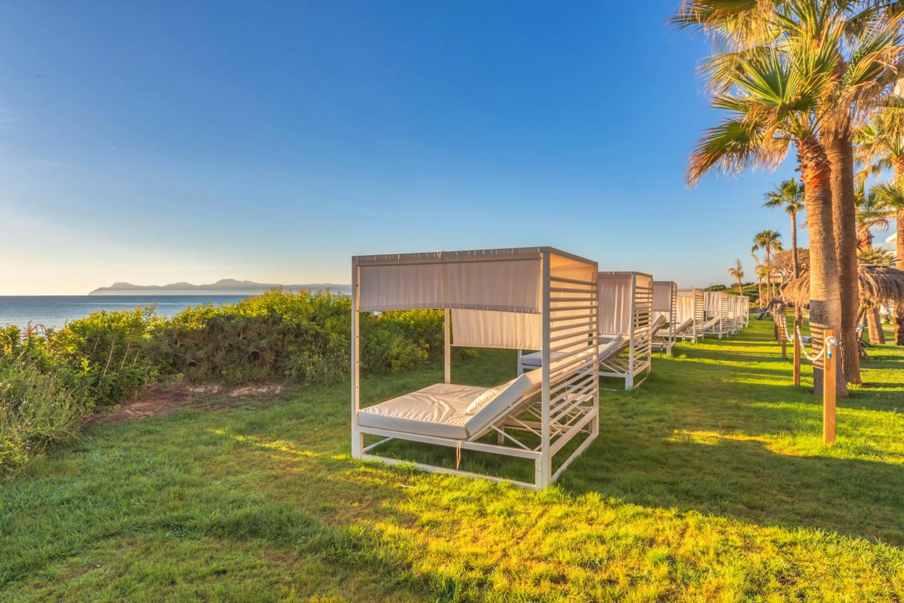 Garden in Playa Esperanza Resort Affiliated by Meliá