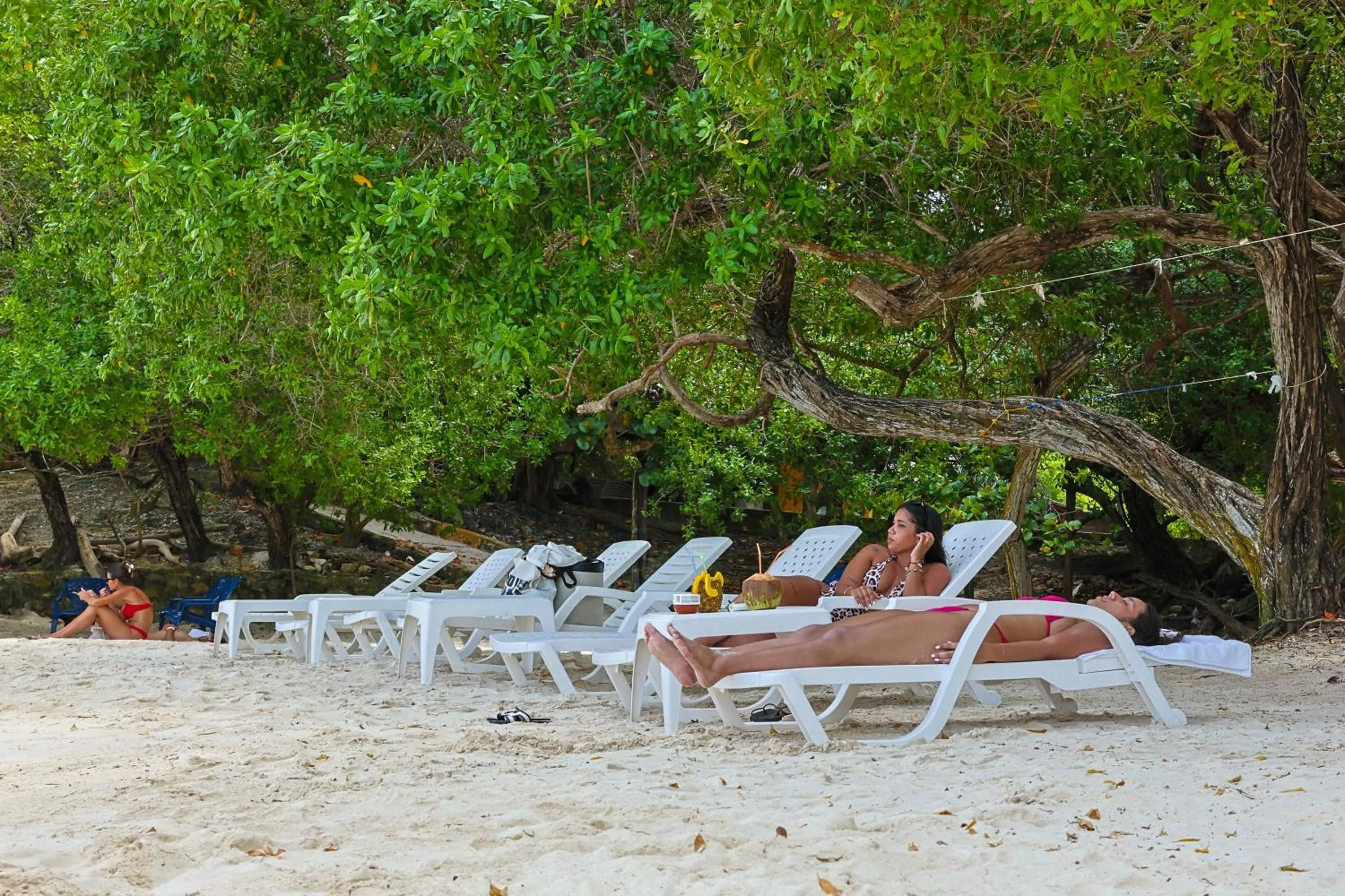 Beach in Hotel Coral Sand Islas Del Rosario