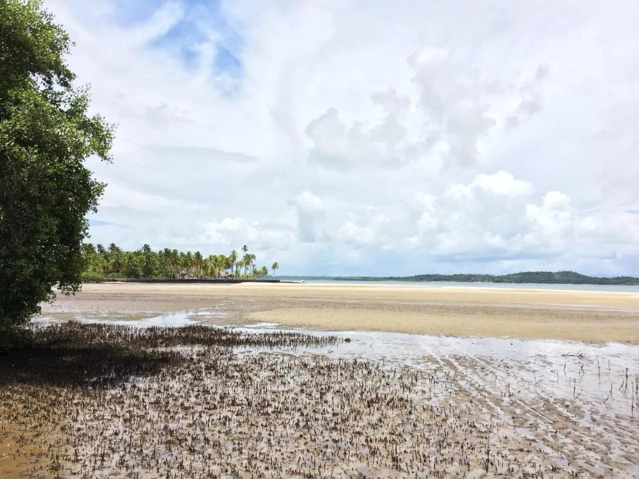 Beach in Pousada Velas e Vento - Barra Grande, Taipu de Fora, Maraú