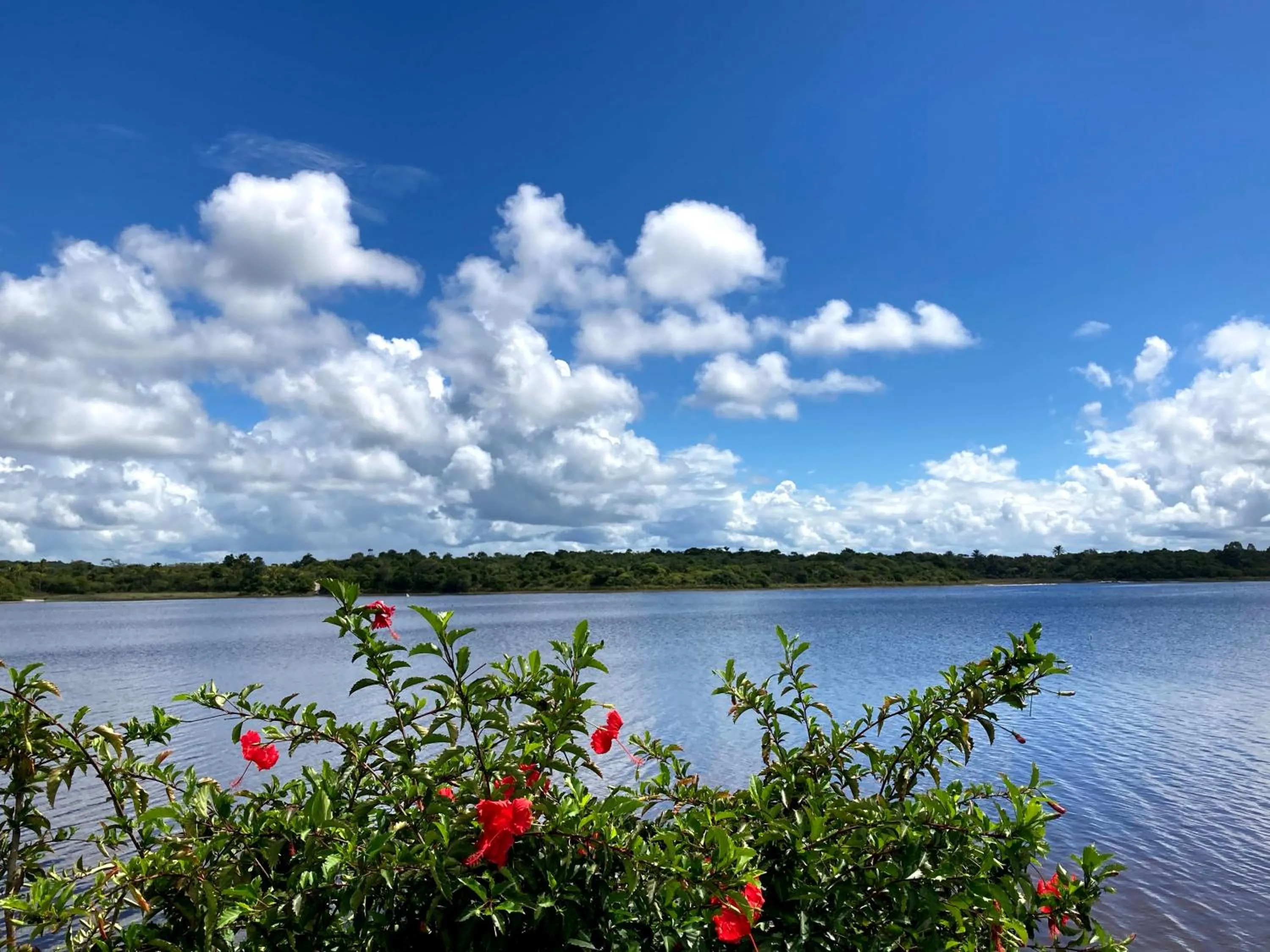 Lake view in Pousada Velas e Vento - Barra Grande, Taipu de Fora, Maraú