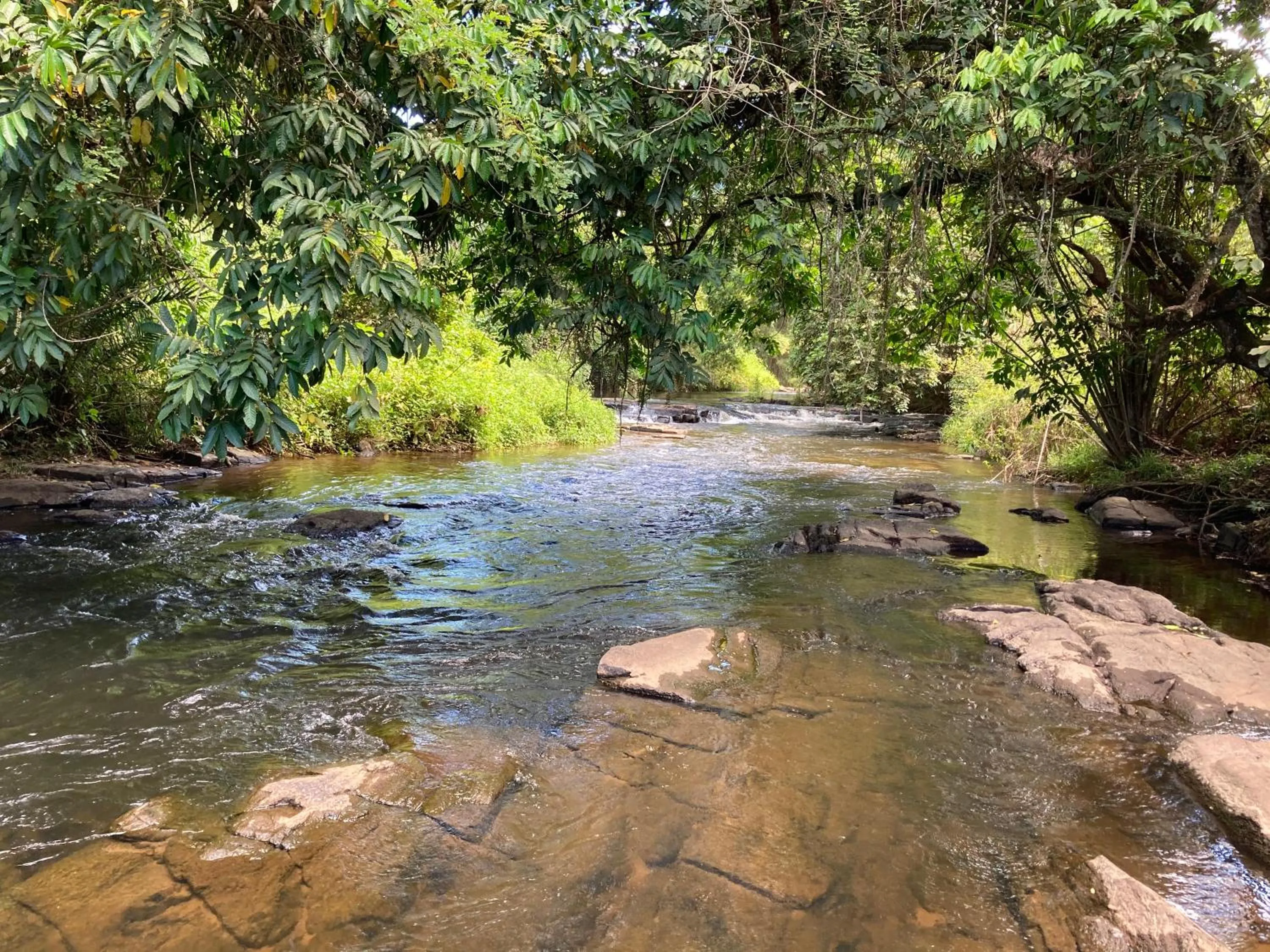 Natural landscape in Pousada Velas e Vento - Barra Grande, Taipu de Fora, Maraú