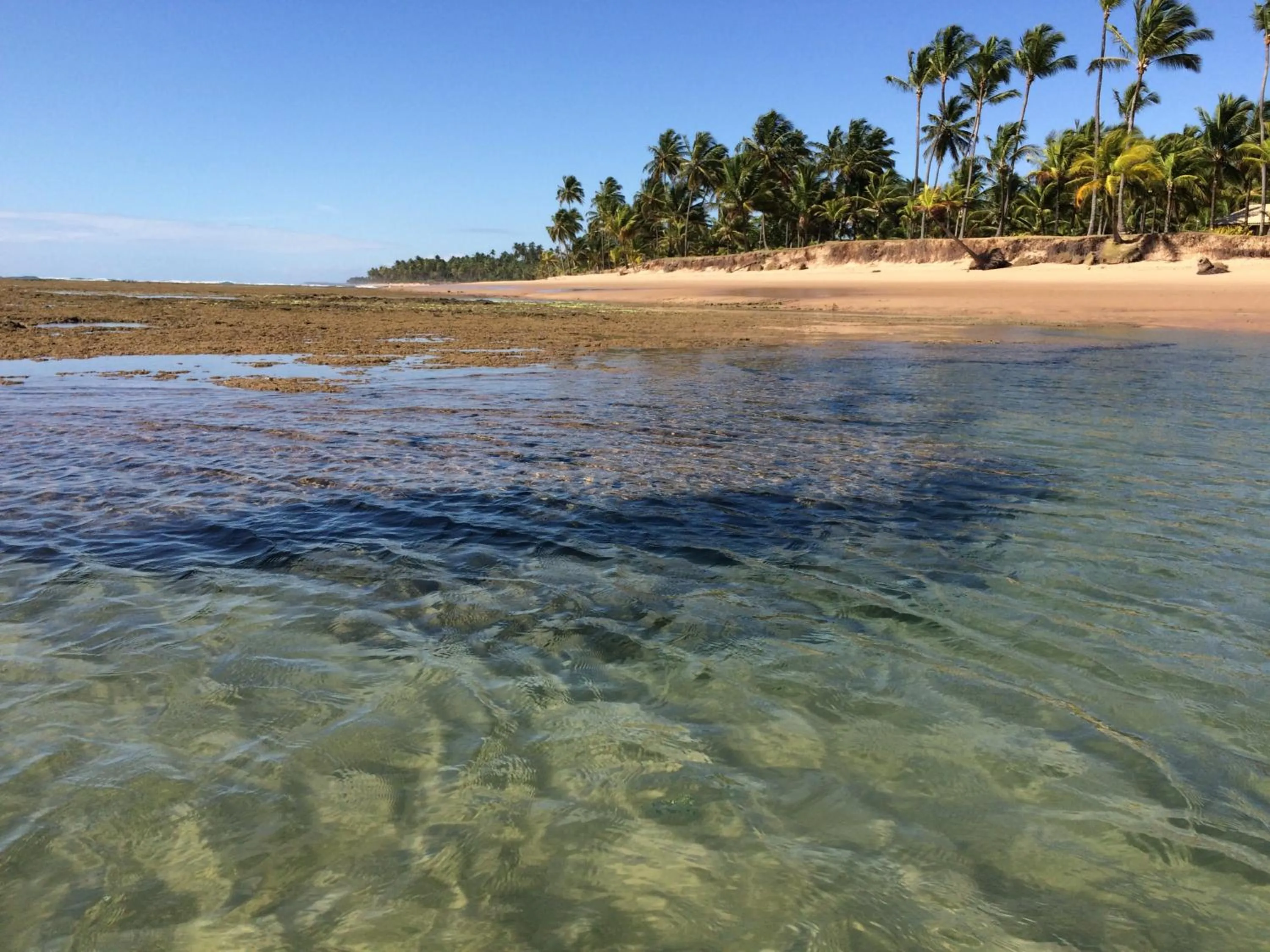 Beach in Pousada Velas e Vento - Barra Grande, Taipu de Fora, Maraú