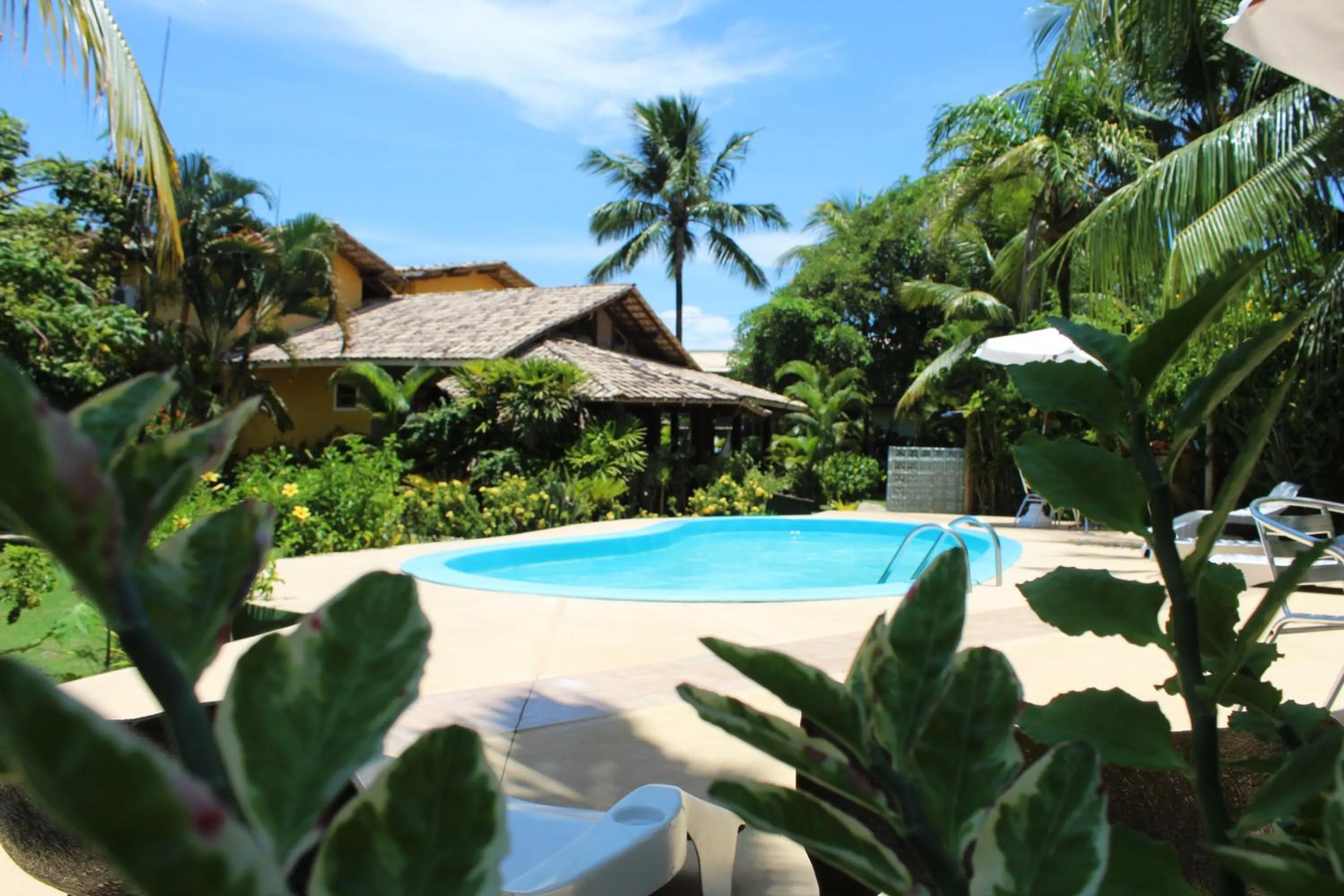 Swimming pool in Pousada Velas e Vento - Barra Grande, Taipu de Fora, Maraú