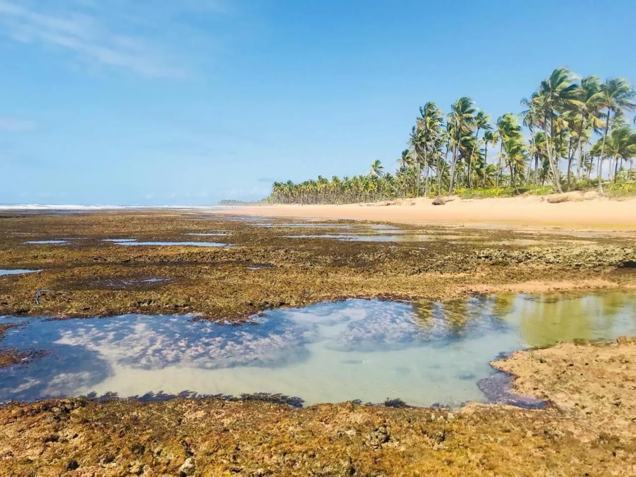 Beach in Pousada Velas e Vento - Barra Grande, Taipu de Fora, Maraú