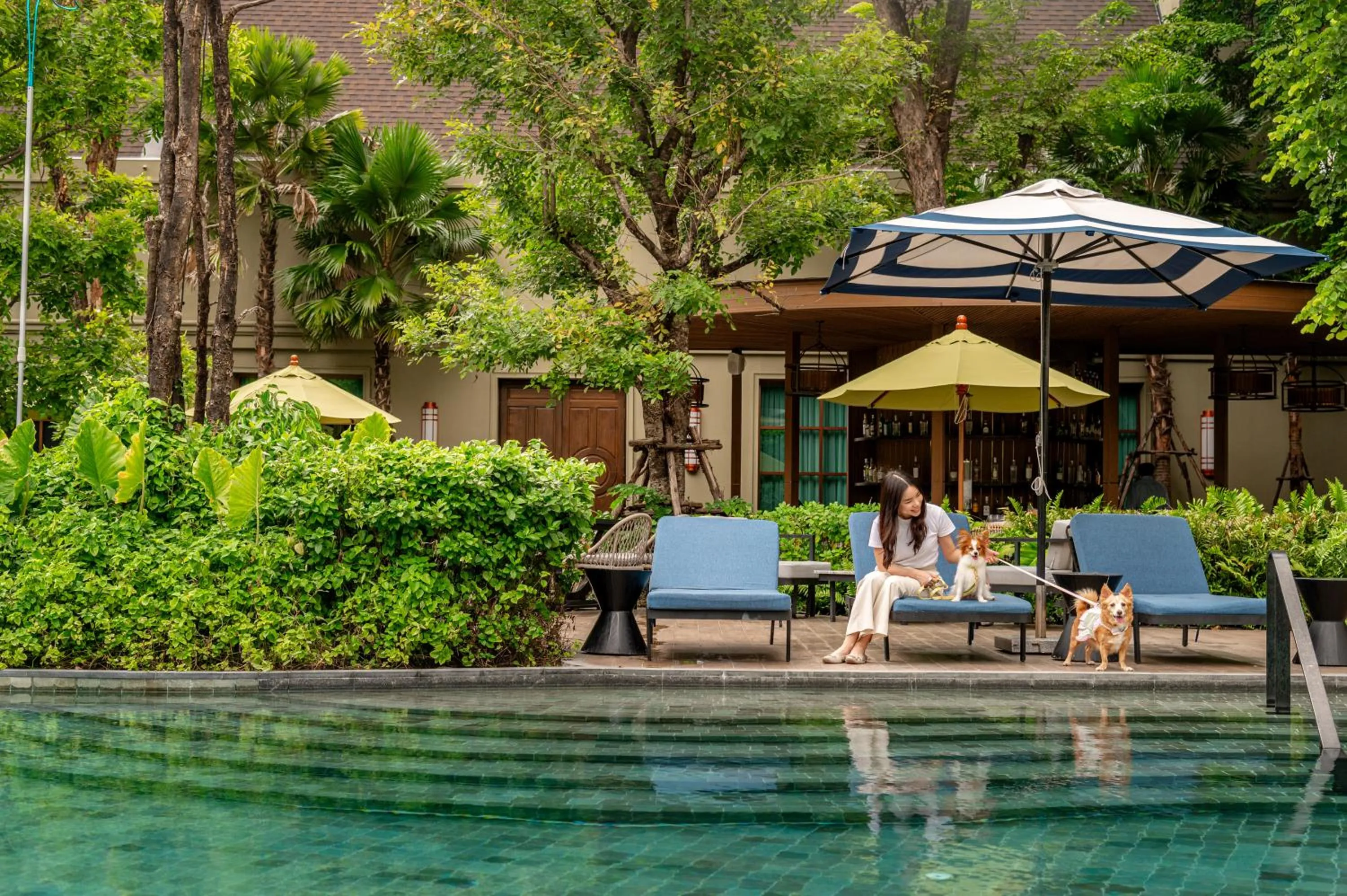 pet friendly in Marriott Executive Apartments, Bangkok Townhall Sukhumvit