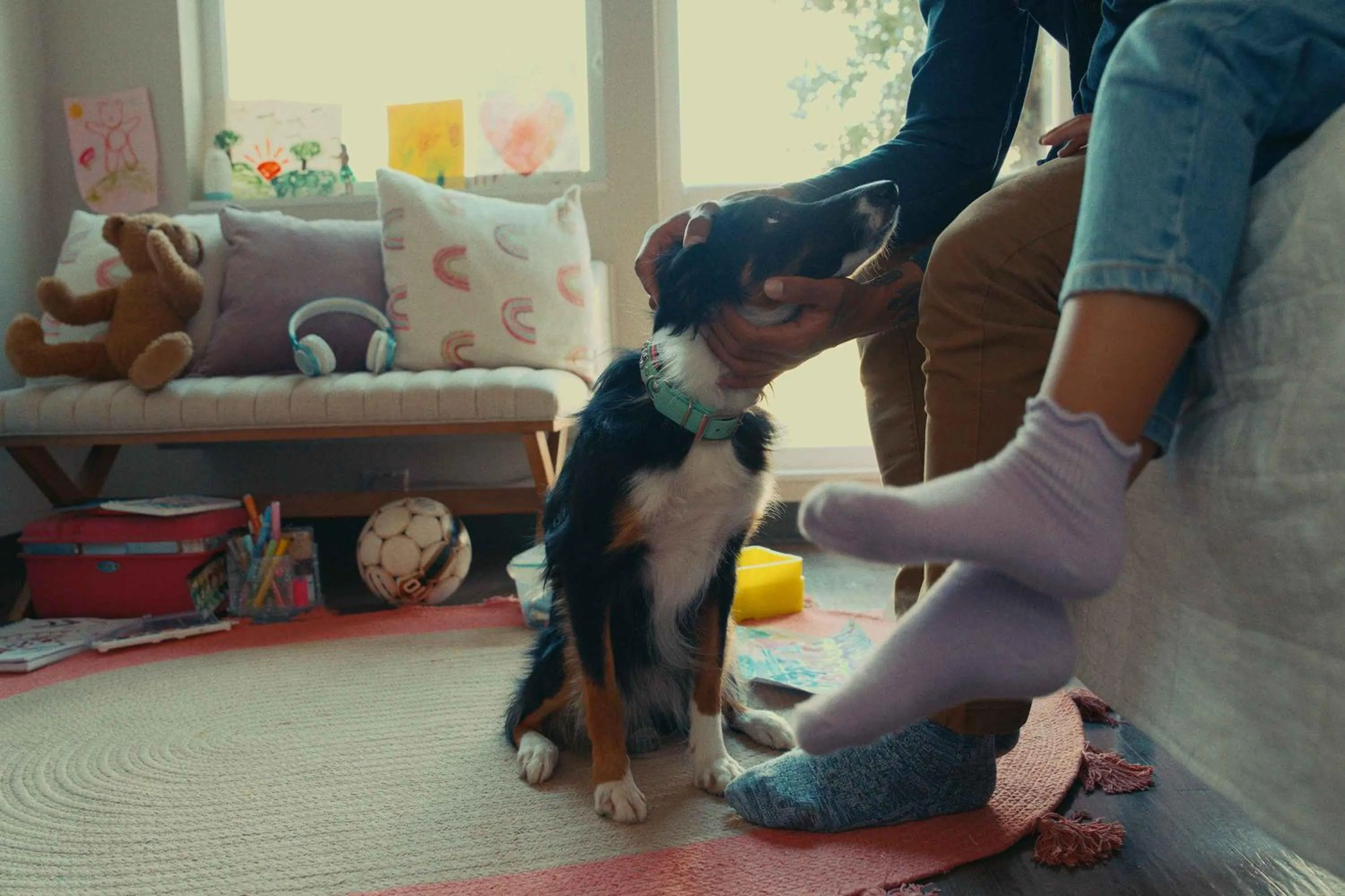 Pets in Extended Stay America Premier Suites - Belgrade - Bozeman - Yellowstone Airport