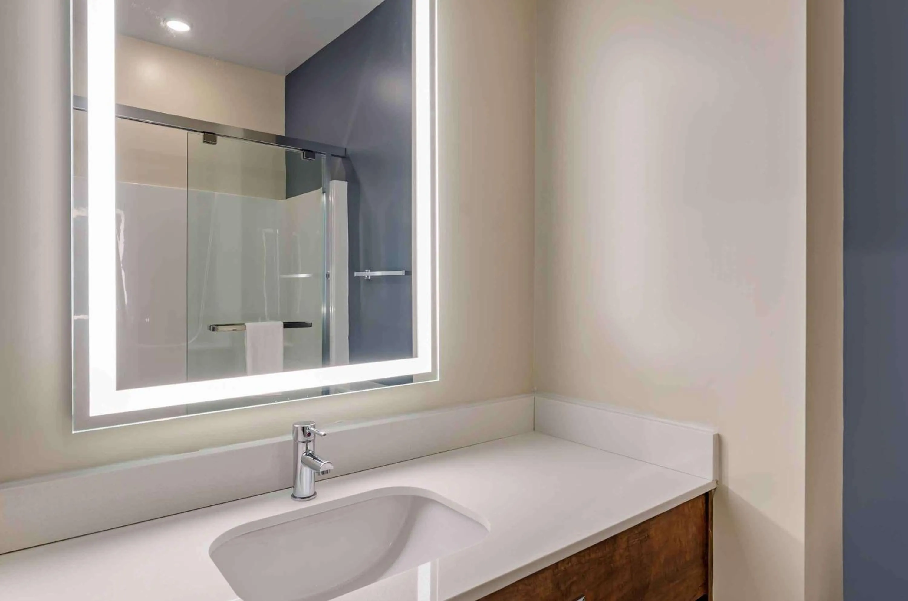 Bathroom in Extended Stay America Premier Suites - Harrisonburg