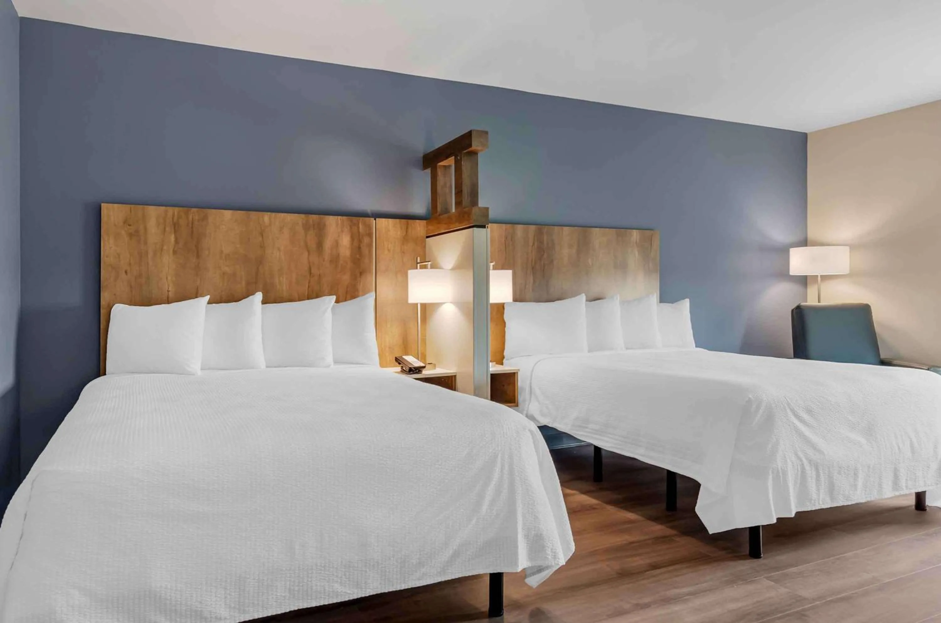 Bedroom, Bed in Extended Stay America Premier Suites - Harrisonburg