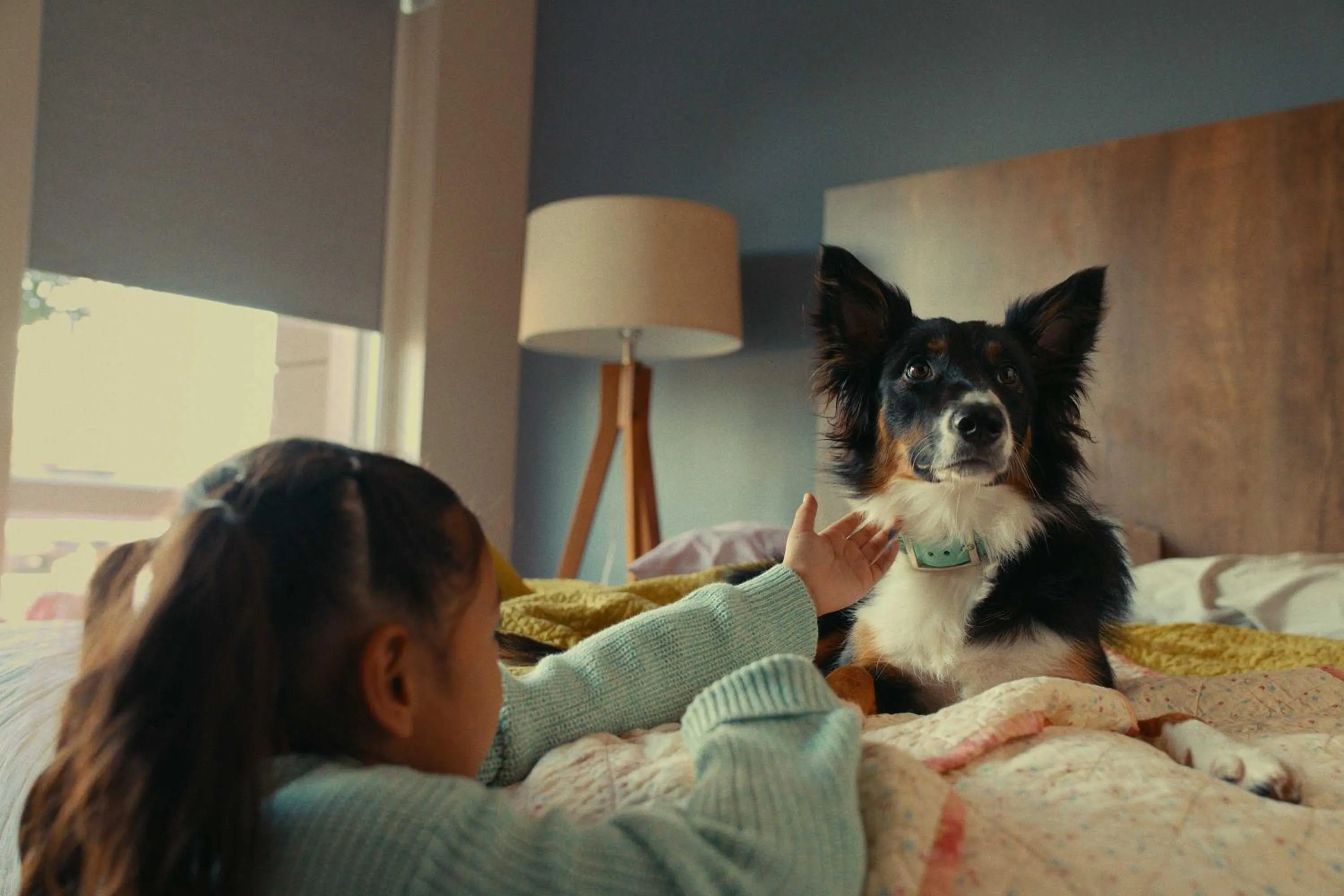 Pets in Extended Stay America Premier Suites - Pensacola - NAS Corry Station