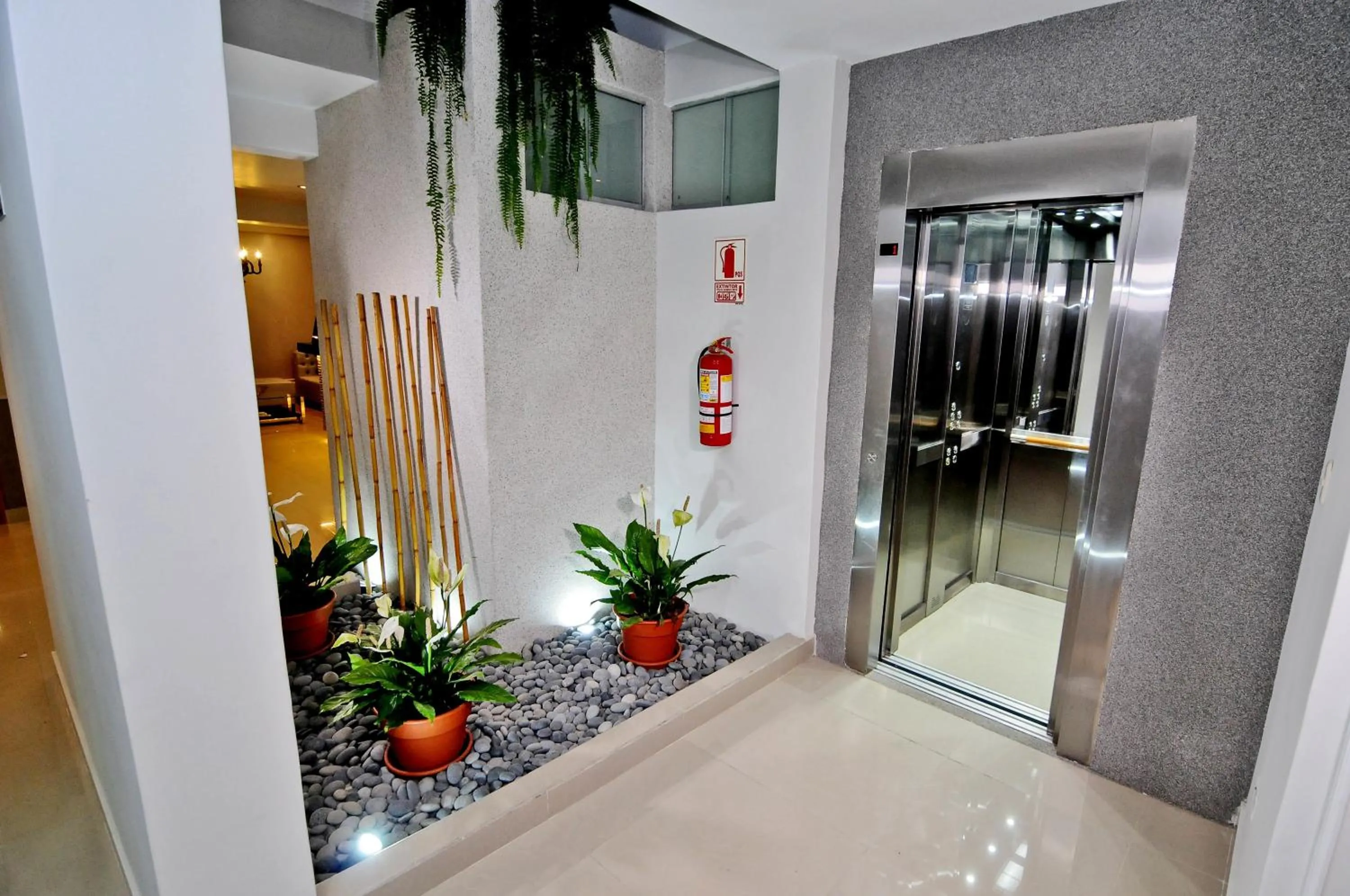 Area and facilities in Dom Hotel