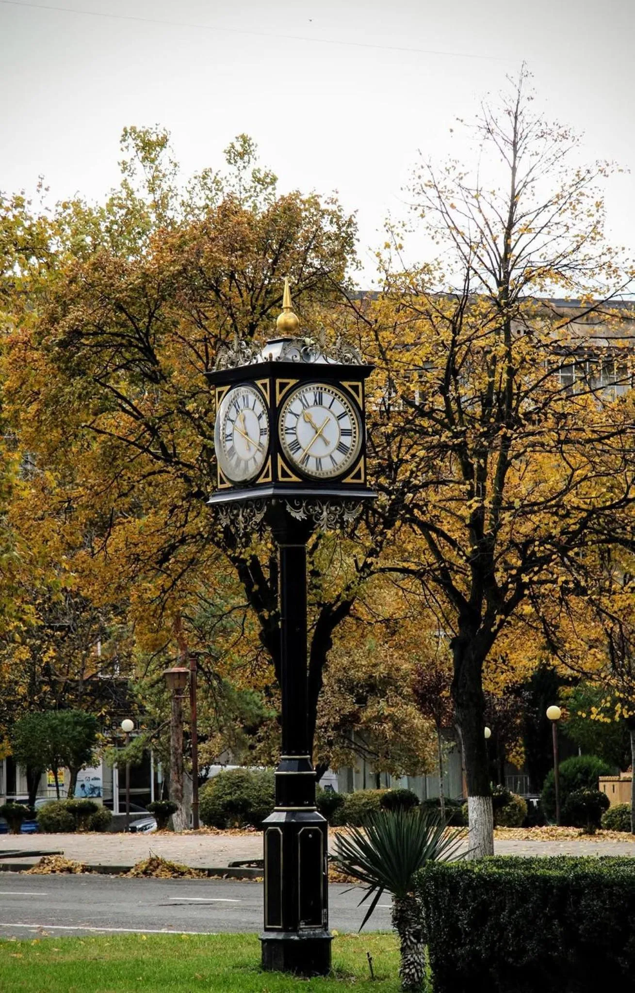 Natural landscape in Gori Palace - Modern Apartments in City Centre