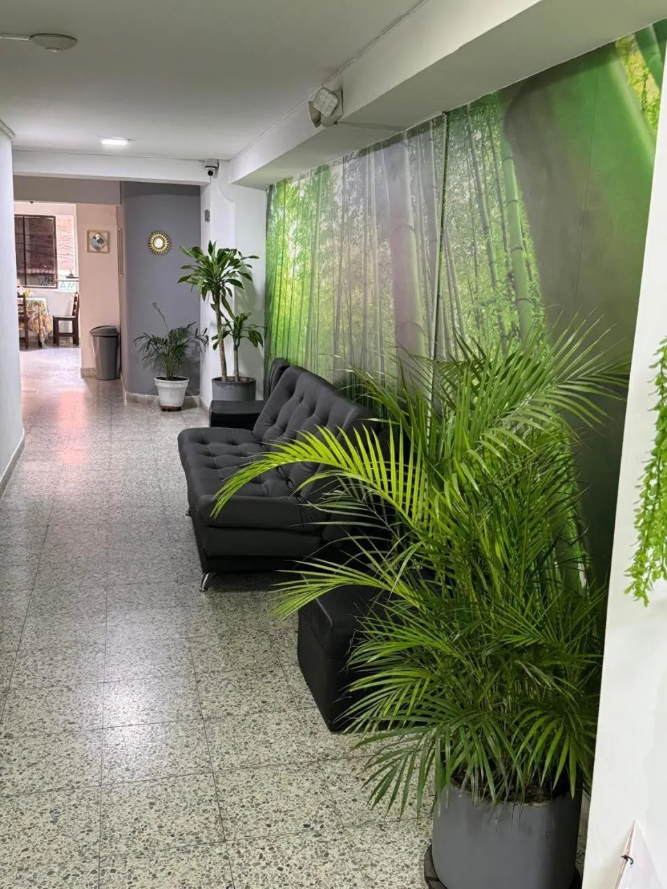 Hotel JC 43