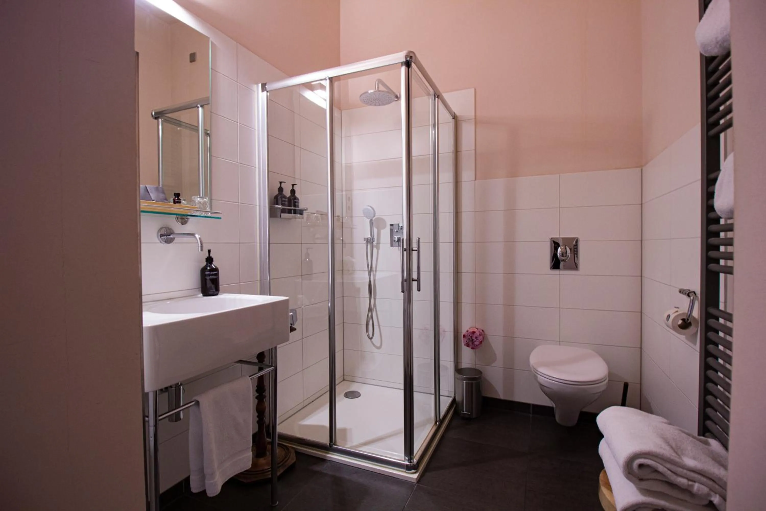 Shower in Suitehotel Pincoffs