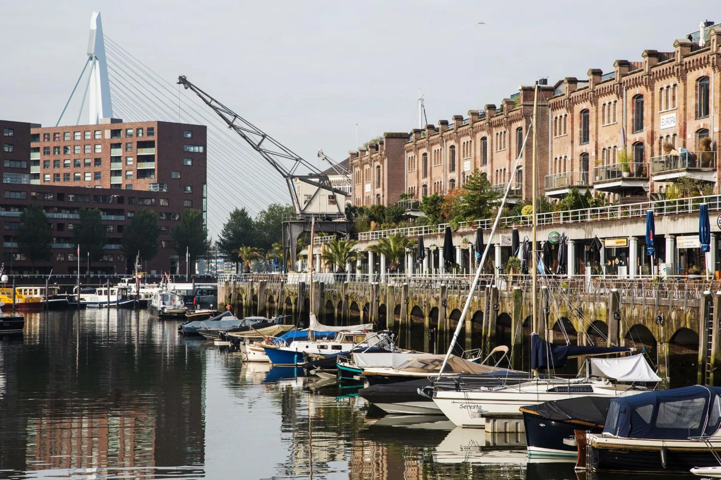 Other in Suitehotel Pincoffs