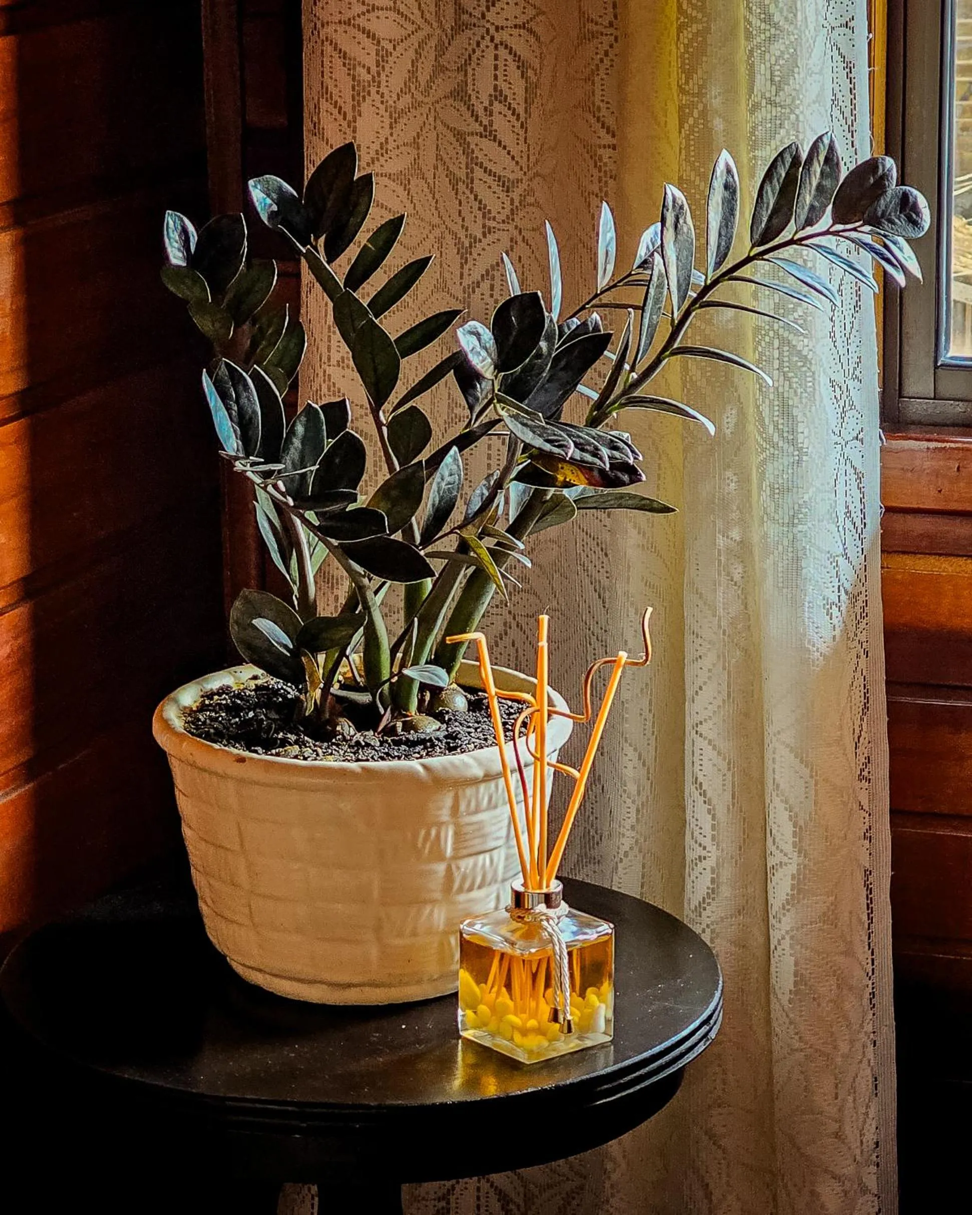 Decorative detail in Pousada Amanhecer do Itaguá