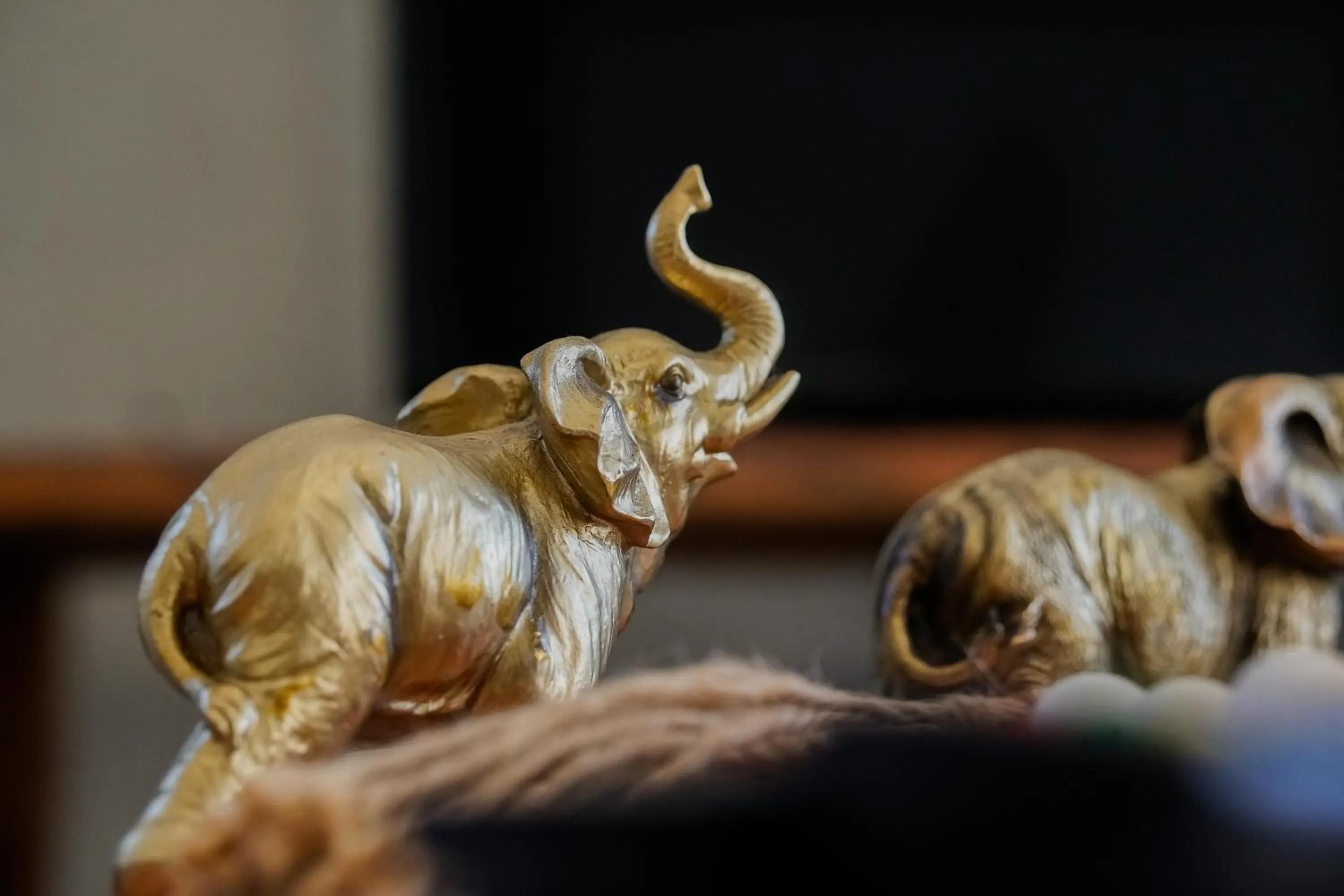 Communal lounge/ TV room in Pousada Amanhecer do Itaguá