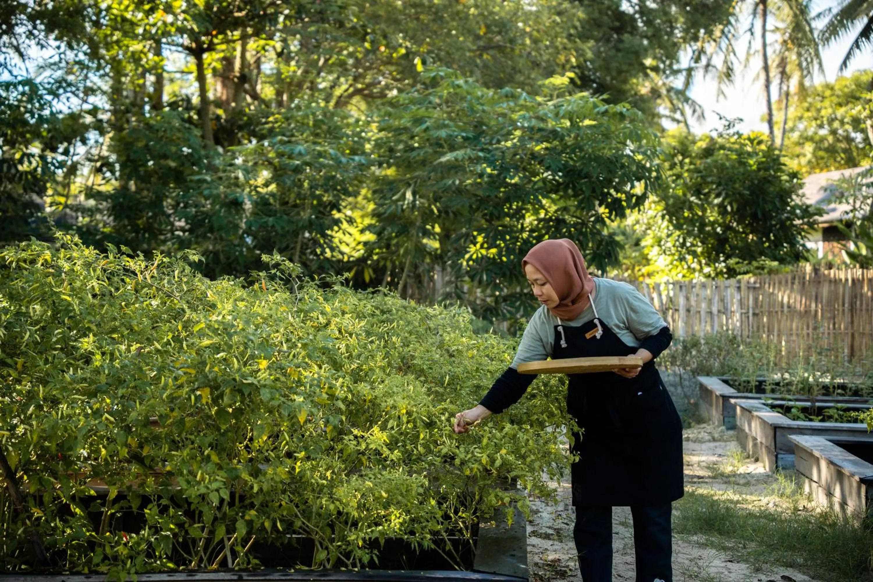 Activities in Kuara Lombok
