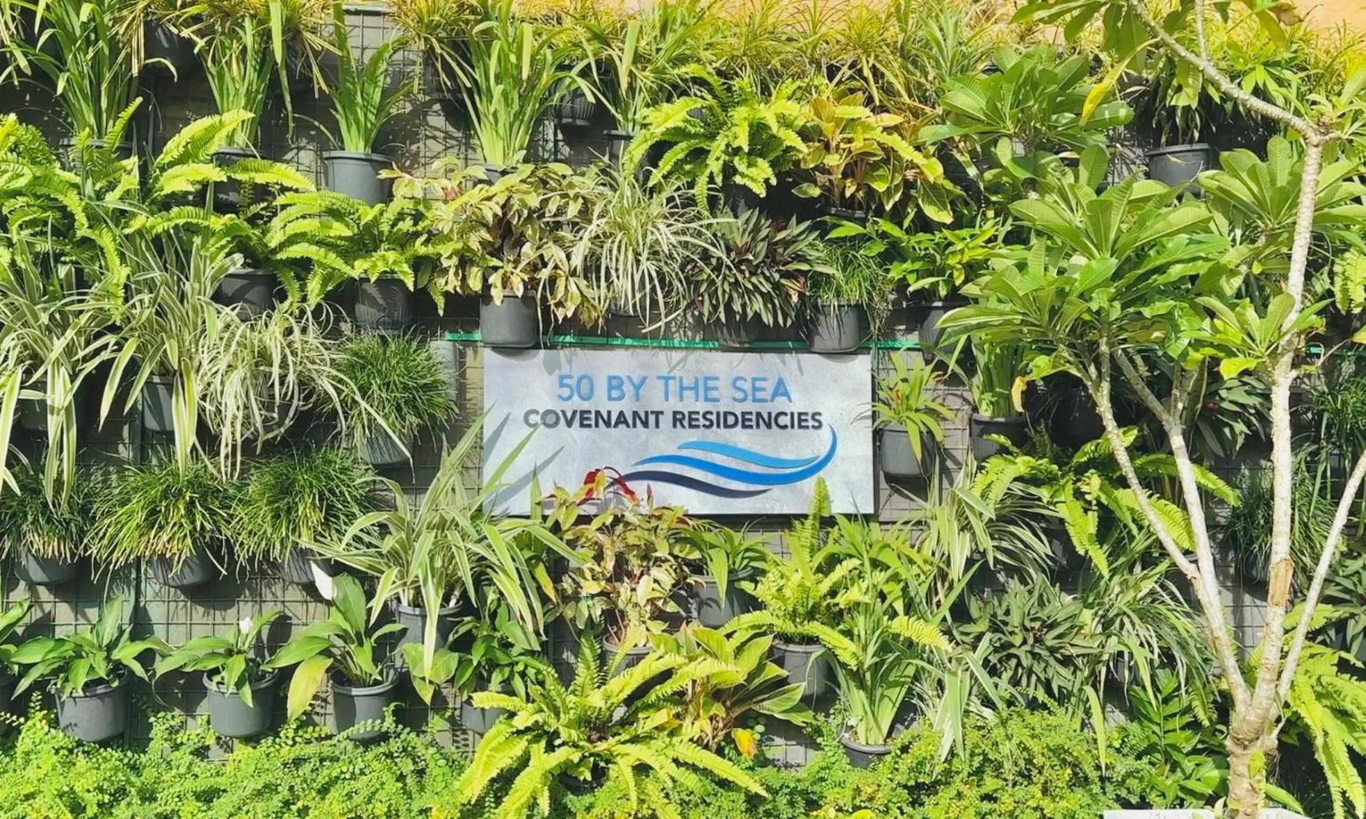 Property logo or sign in 50 By The Sea