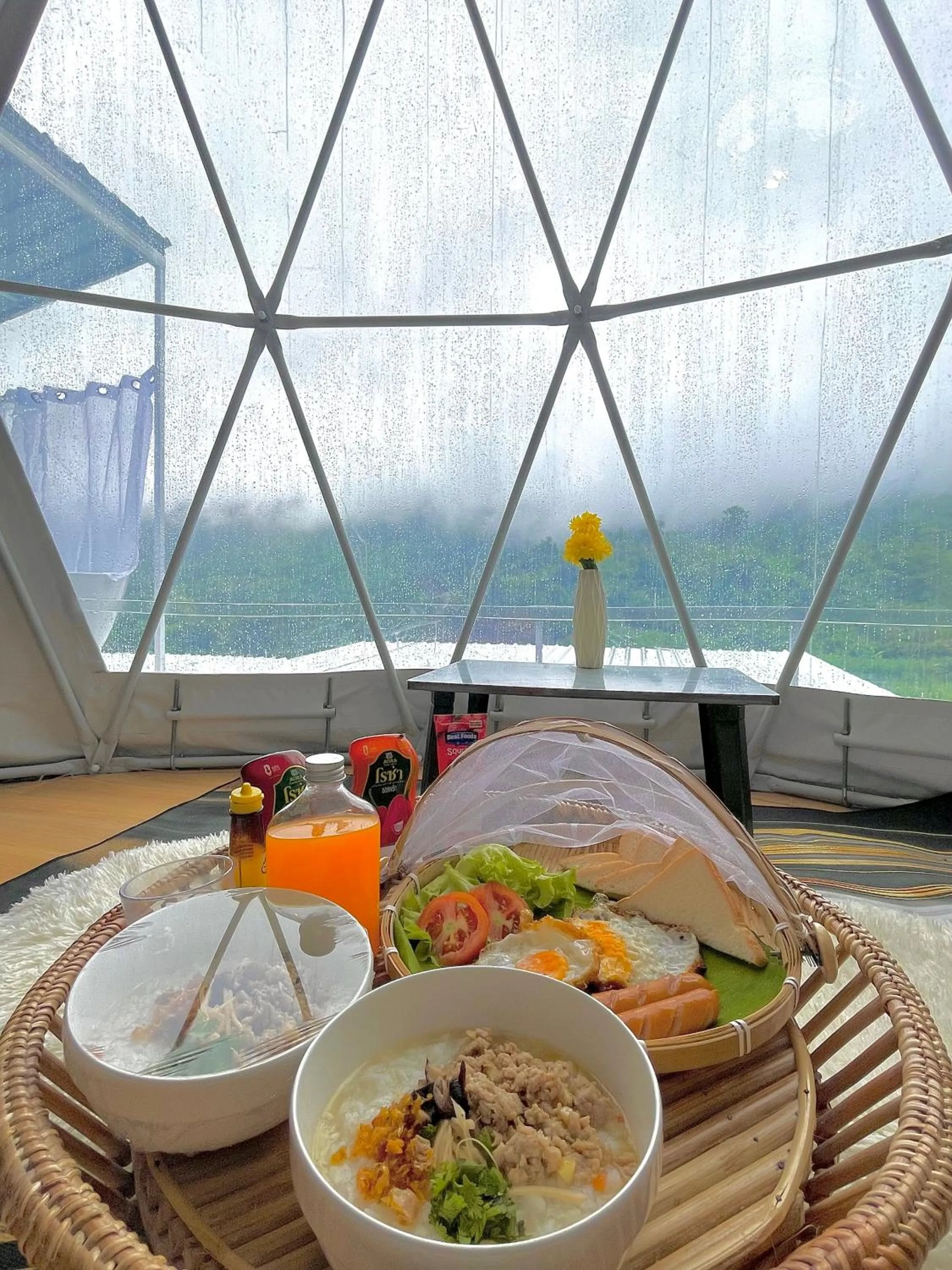 Idea Camp At Khaokho