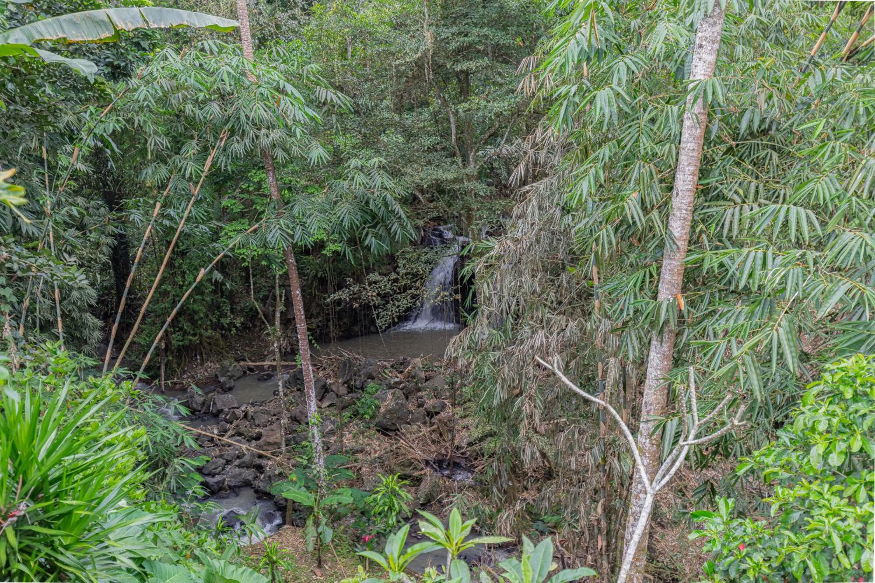 River view in Campuhan Guesthouse