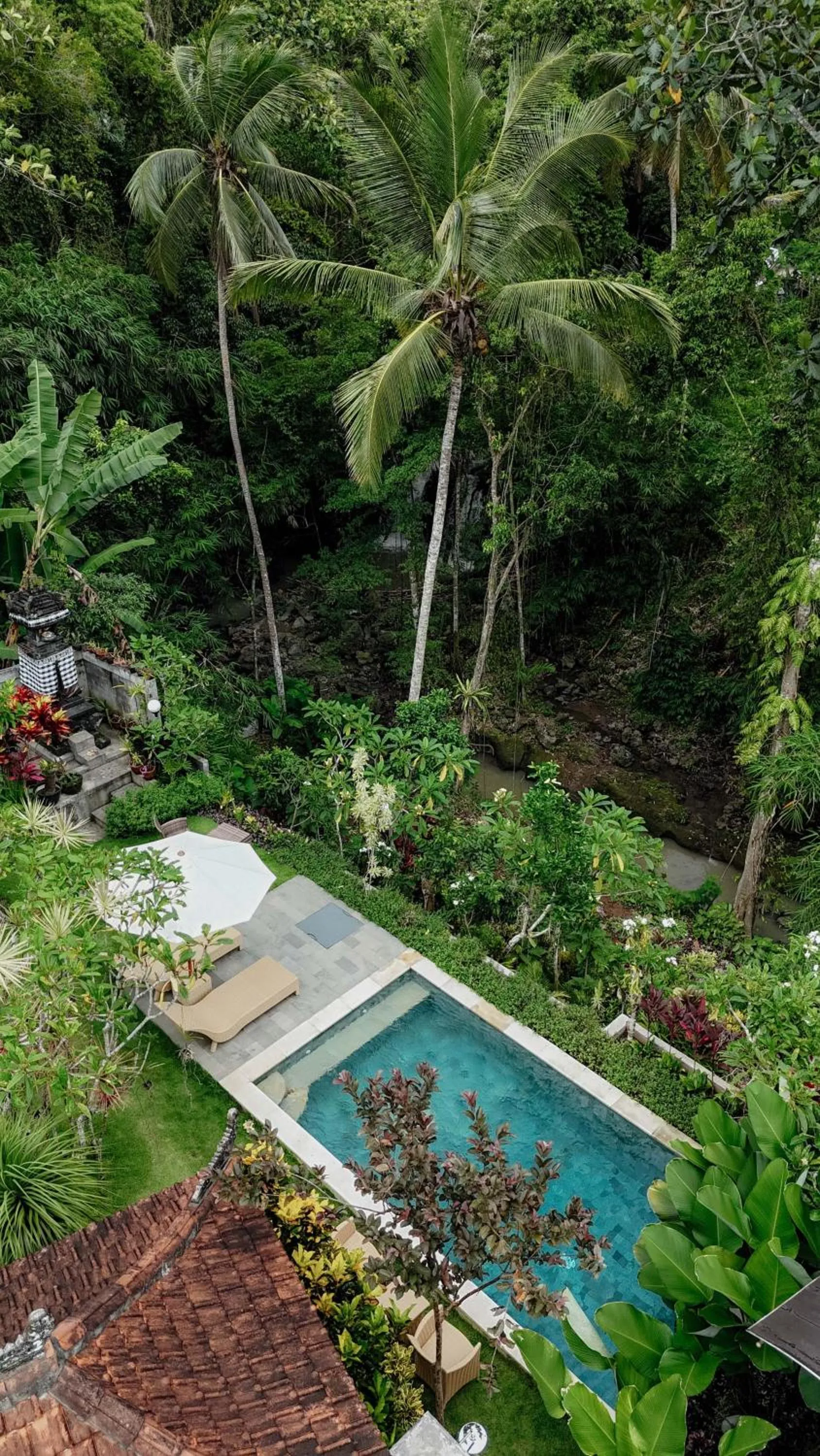 River view in Campuhan Guesthouse