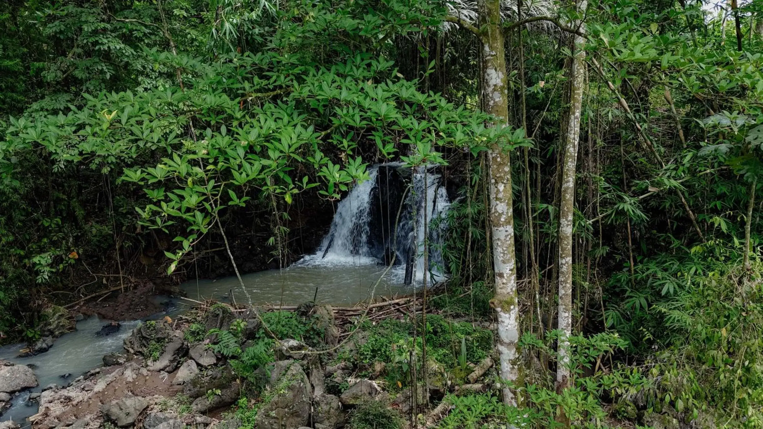 Property building in Campuhan Guesthouse Property building in Campuhan Guesthouse