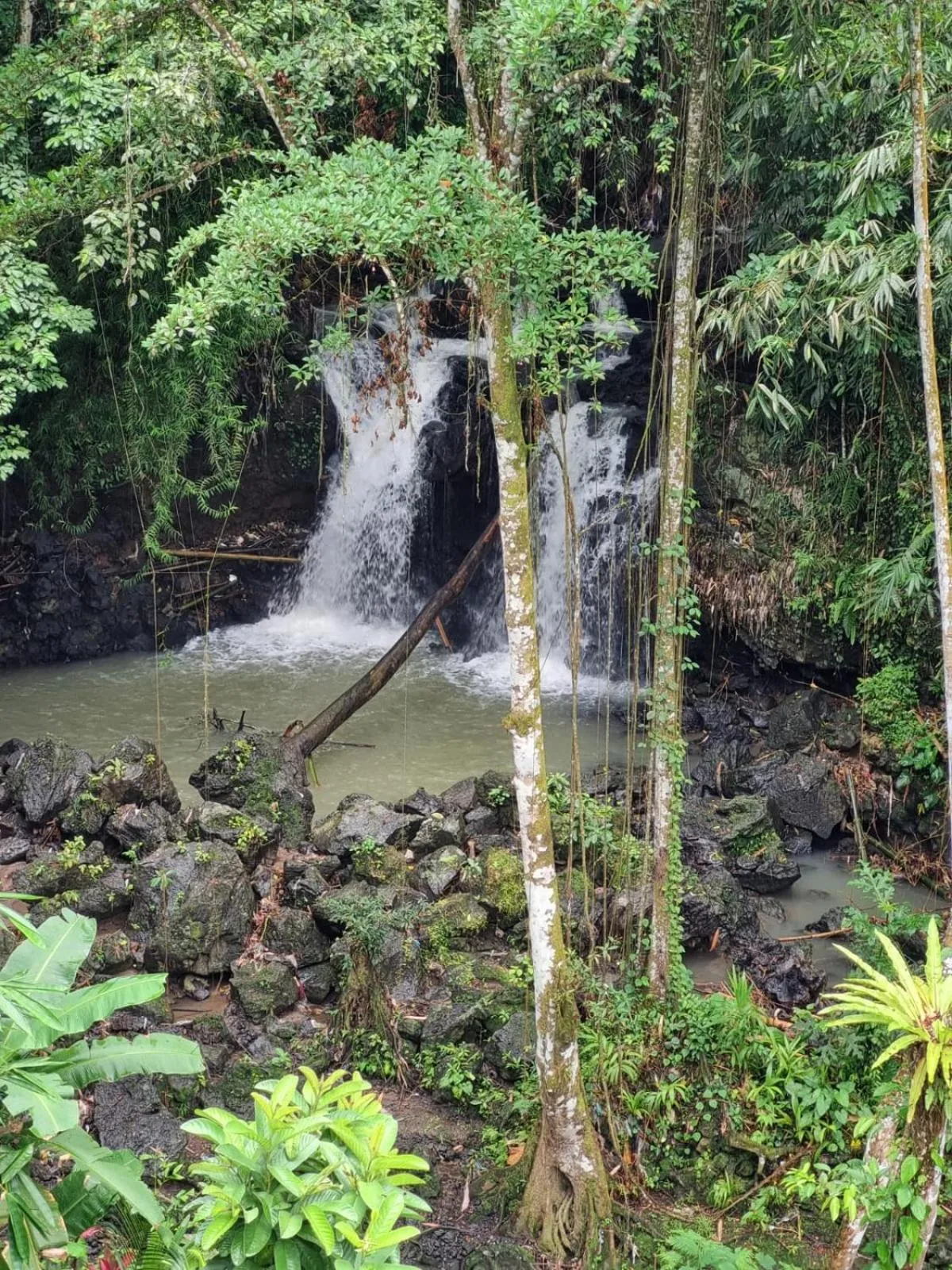 River view in Campuhan Guesthouse