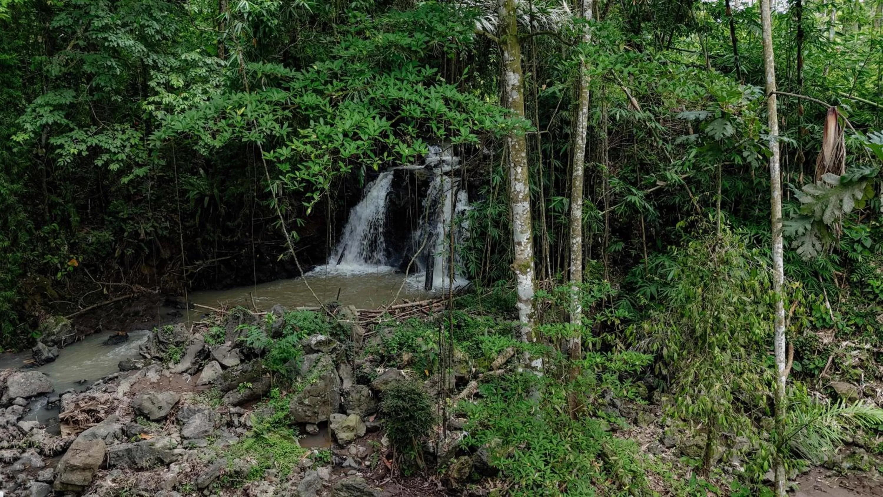 View (from property/room) in Campuhan Guesthouse