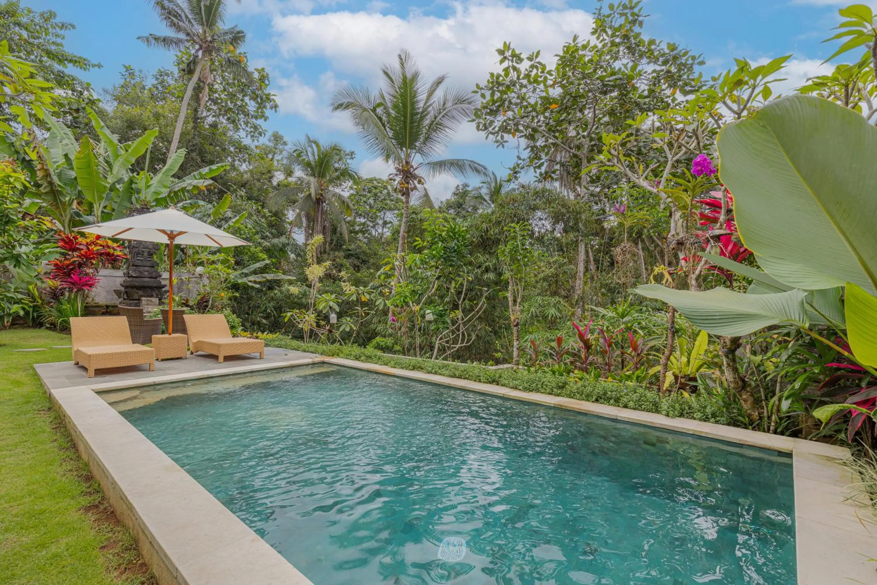 Swimming pool in Campuhan Guesthouse