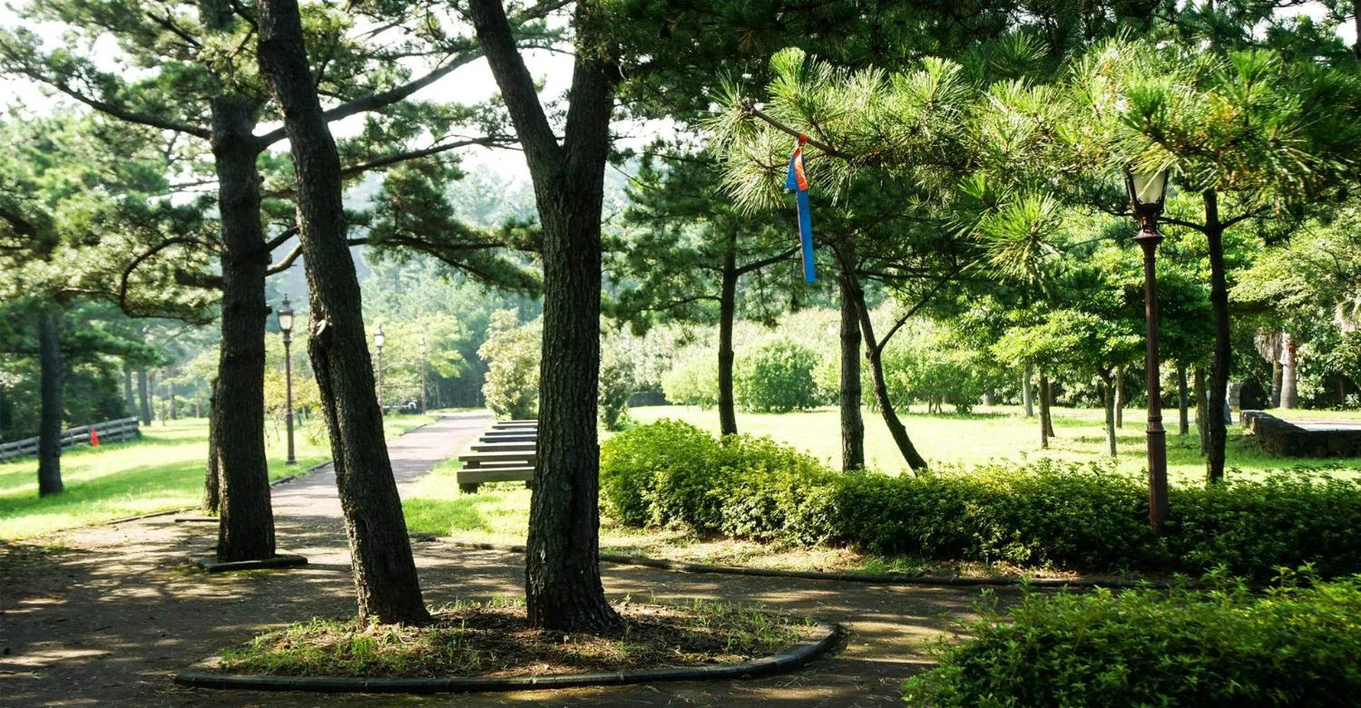 Bowhill Resort & Pension