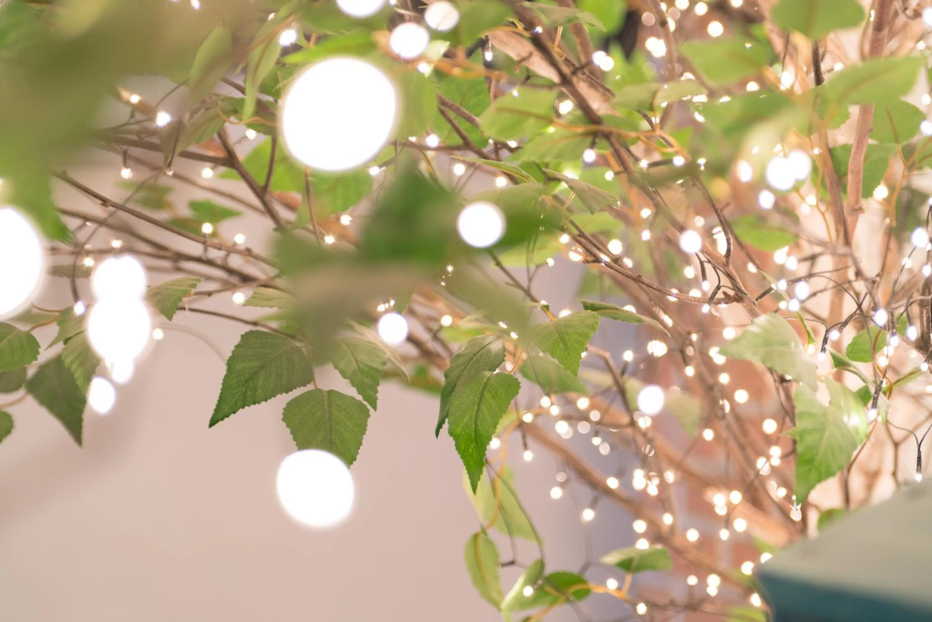 Balcony/Terrace in The Blossom Yeonnam Guesthouse