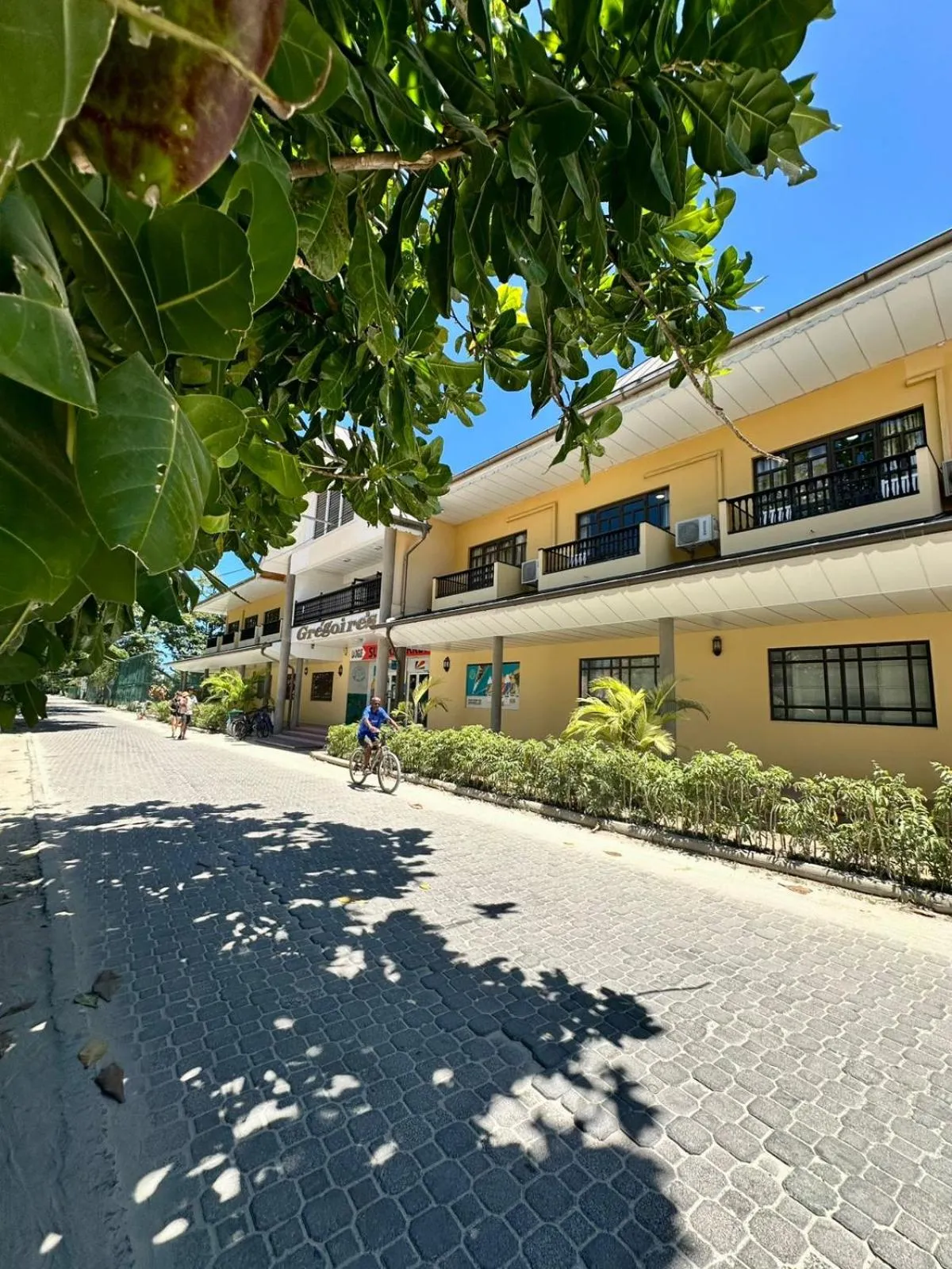 Gregoire's Apartment