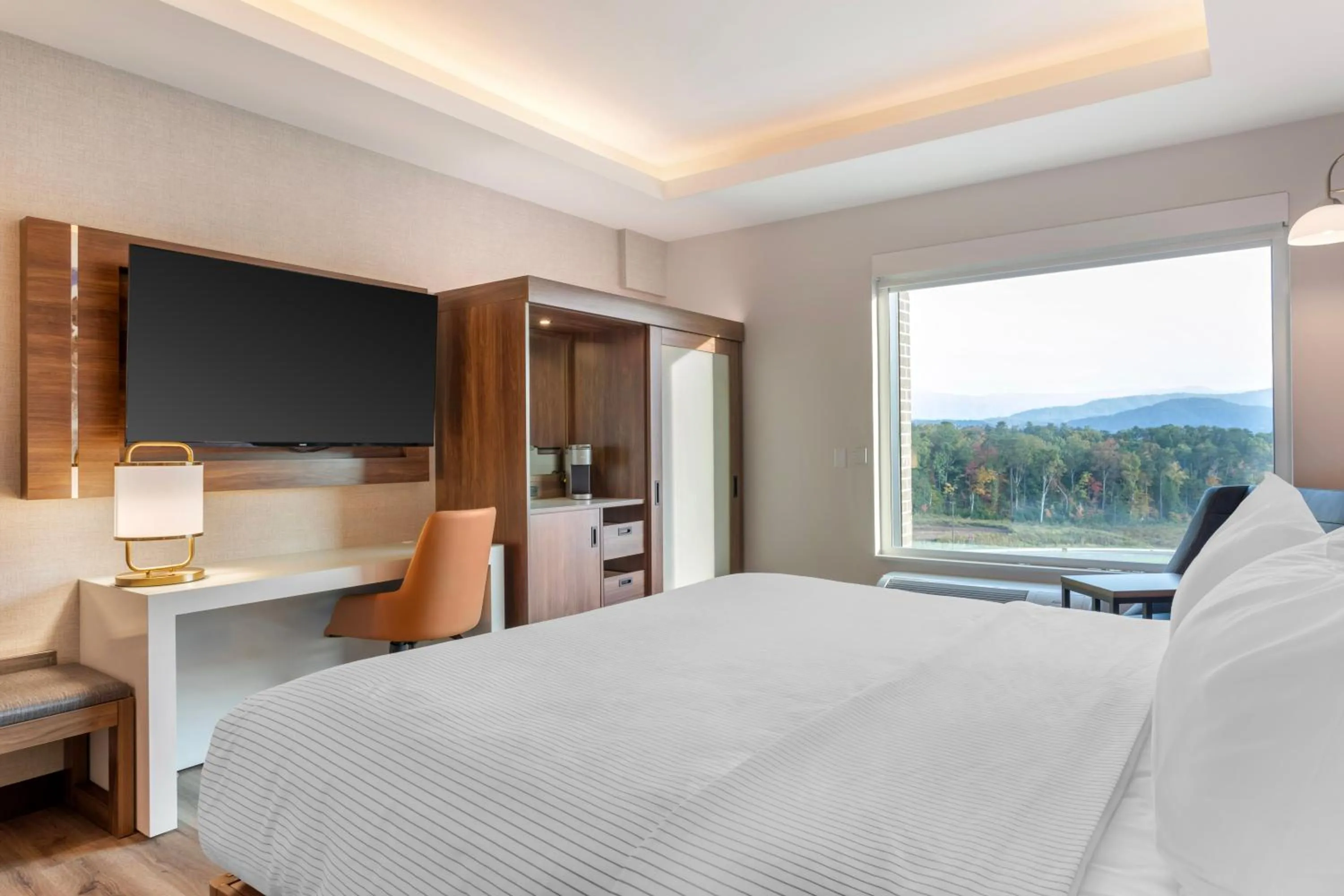 Accessible King Non Smoking Mountain View Upper Floor in Cambria Hotel Pigeon Forge