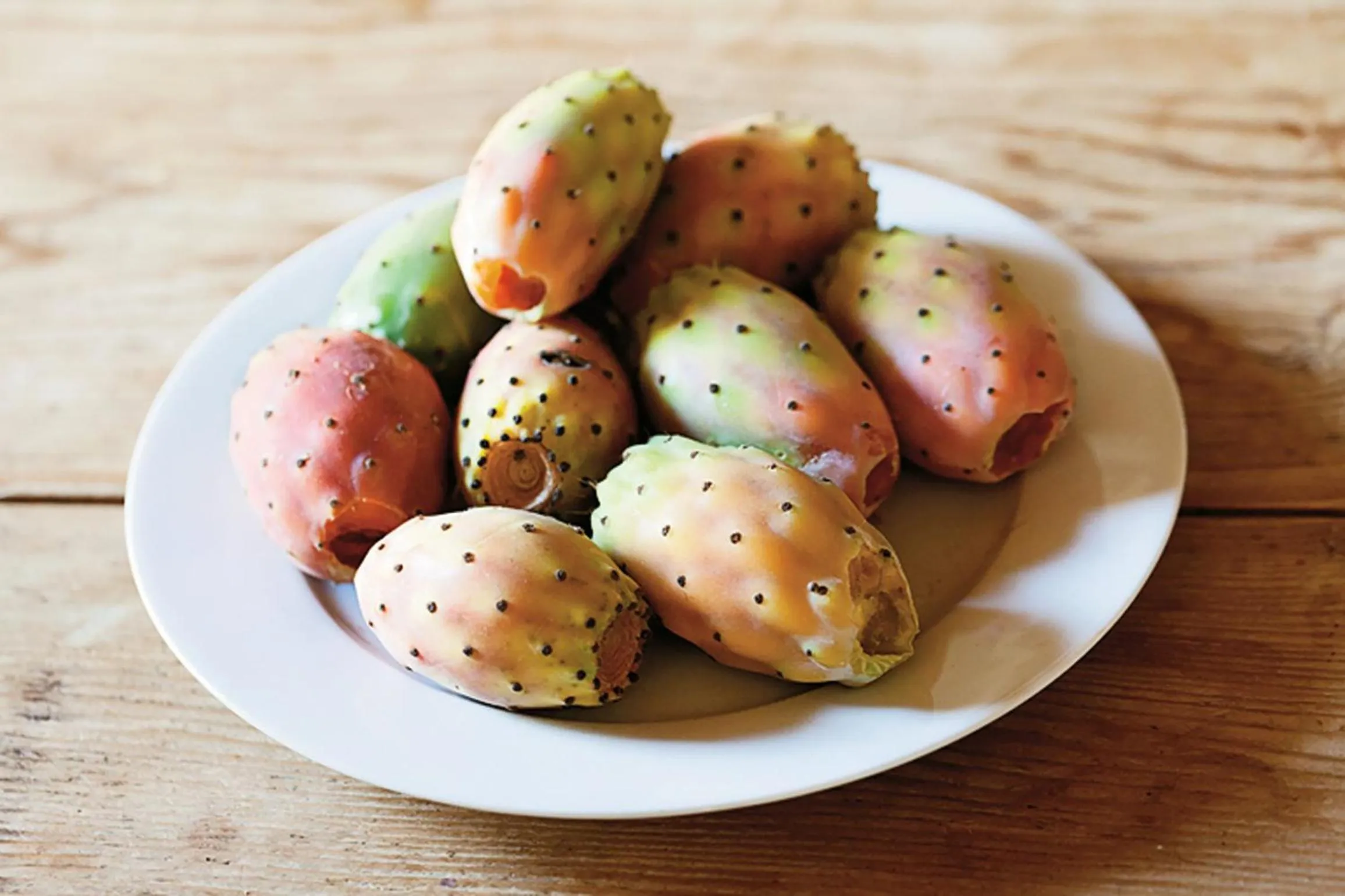 Restaurant/places to eat in Baglio Occhipinti