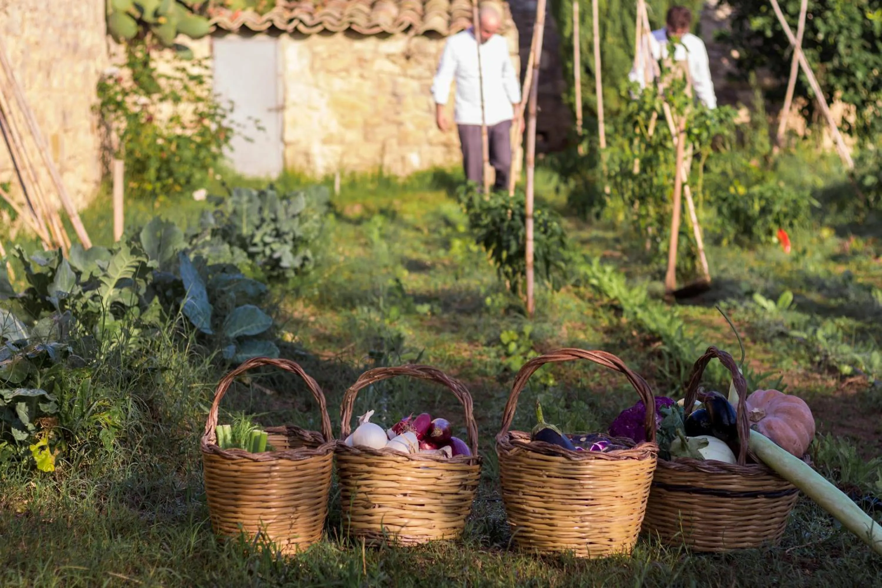 Garden in Baglio Occhipinti