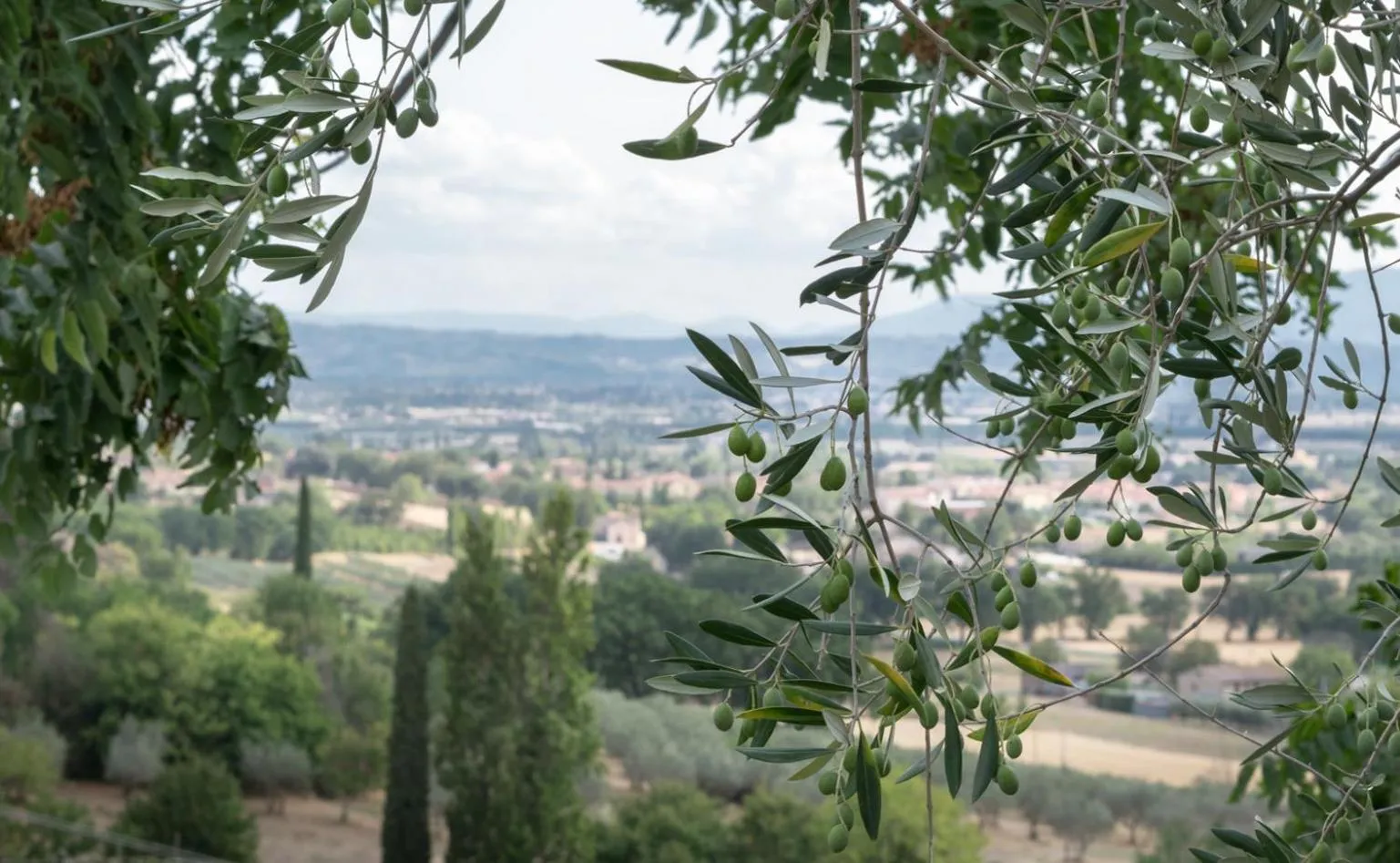 Garden in B&B Cantico Delle Creature