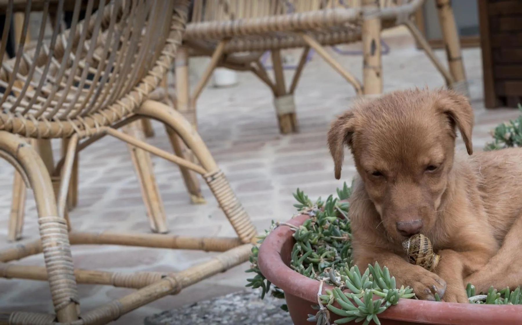 Family in B&B Cantico Delle Creature