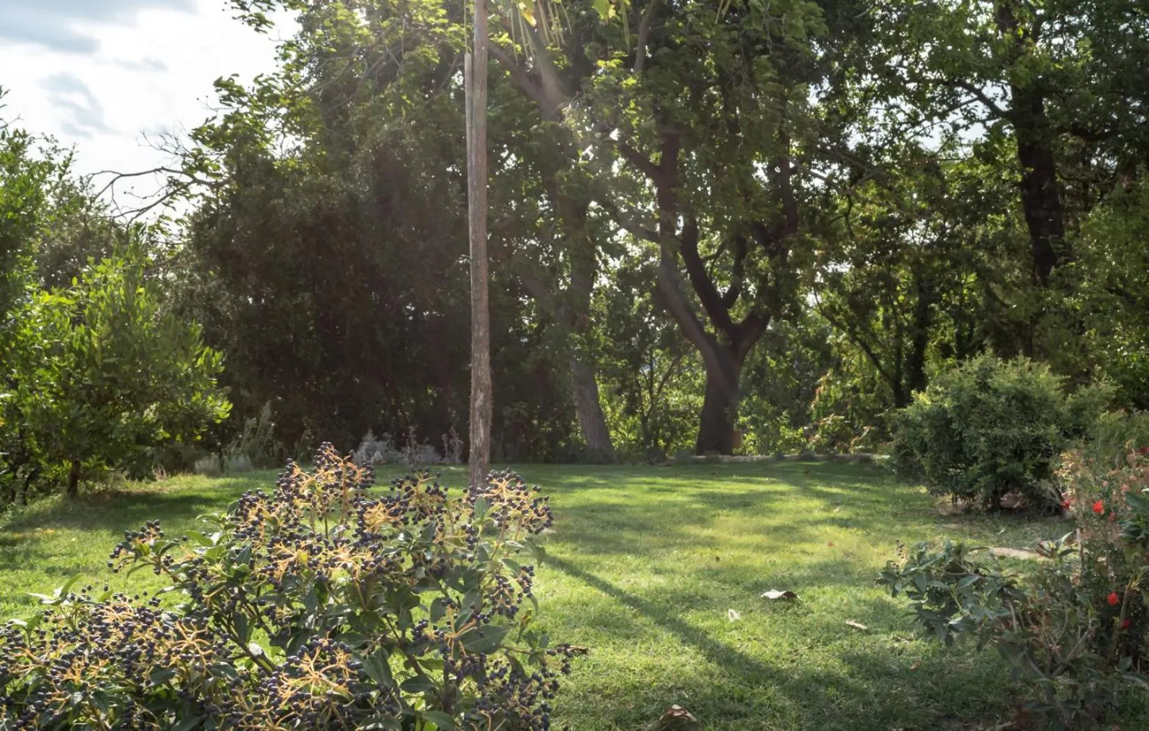 Garden in B&B Cantico Delle Creature