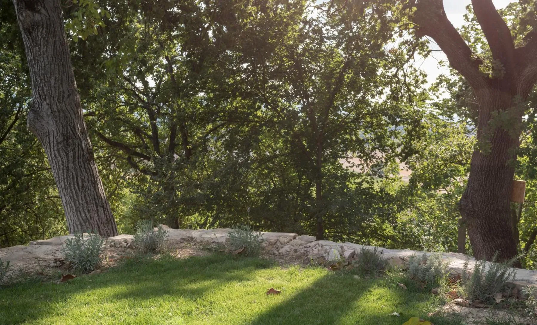 Natural landscape in B&B Cantico Delle Creature