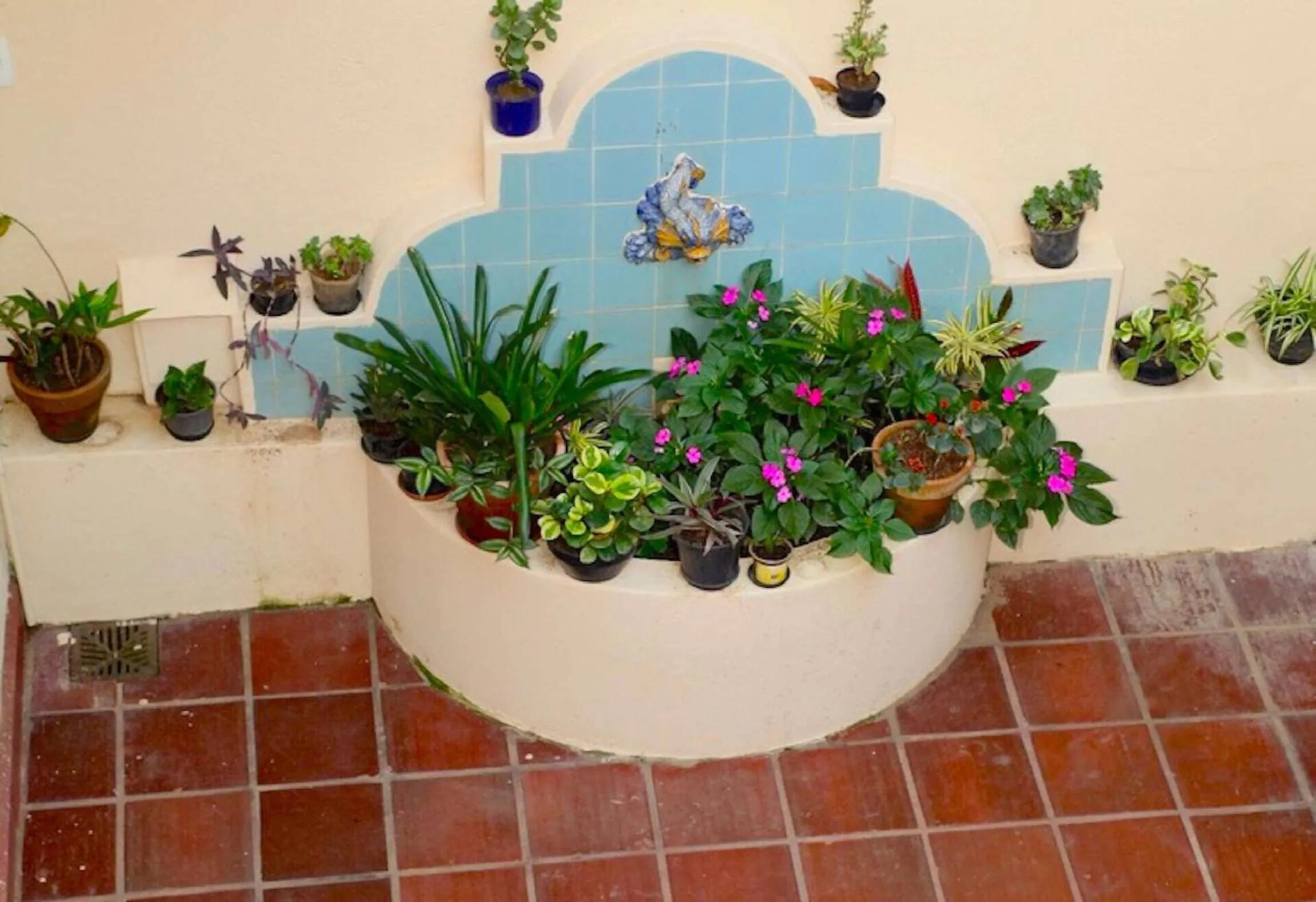 Garden in Inn House Santa Teresa