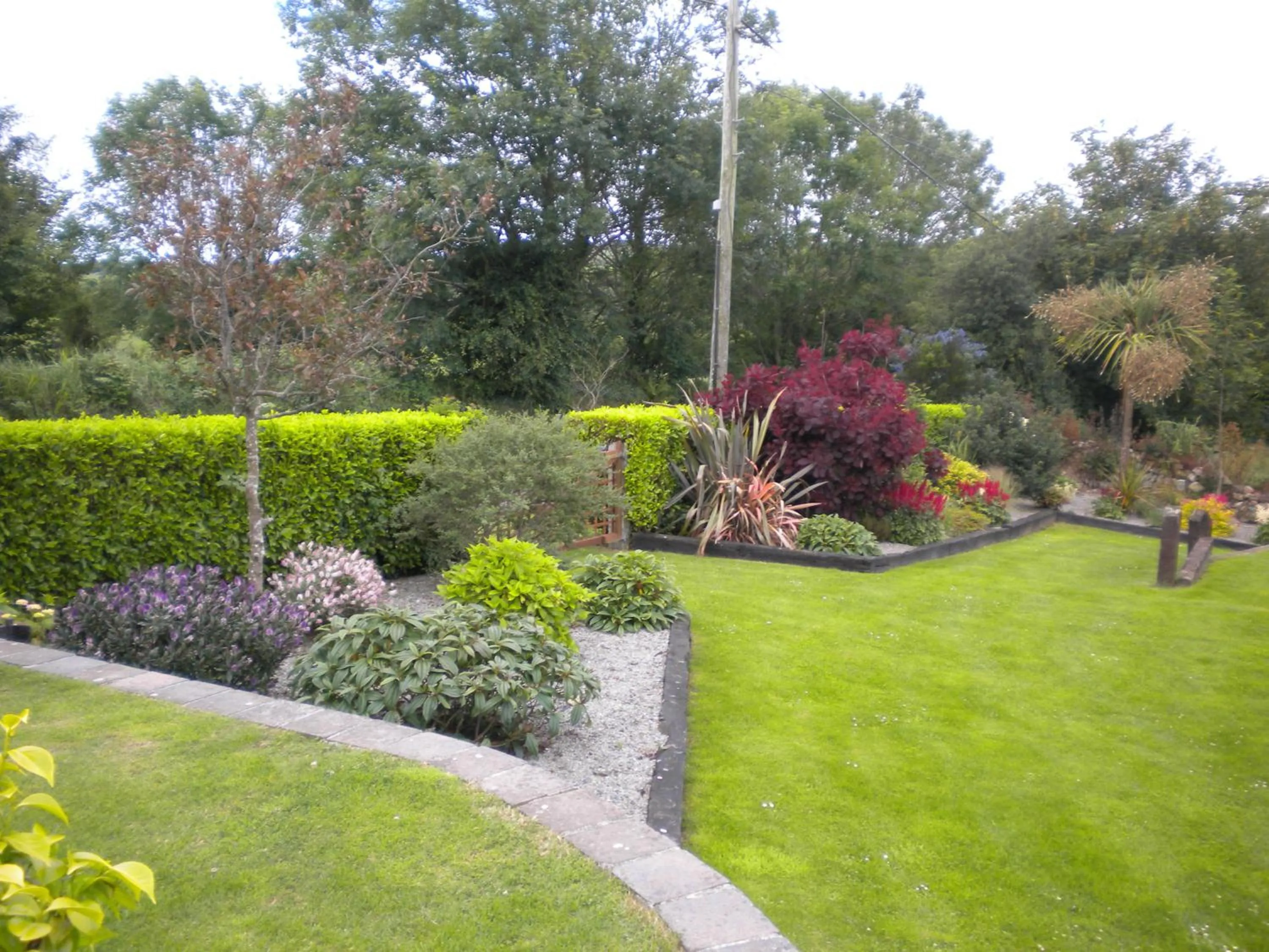Garden in Kilcatten Lodge