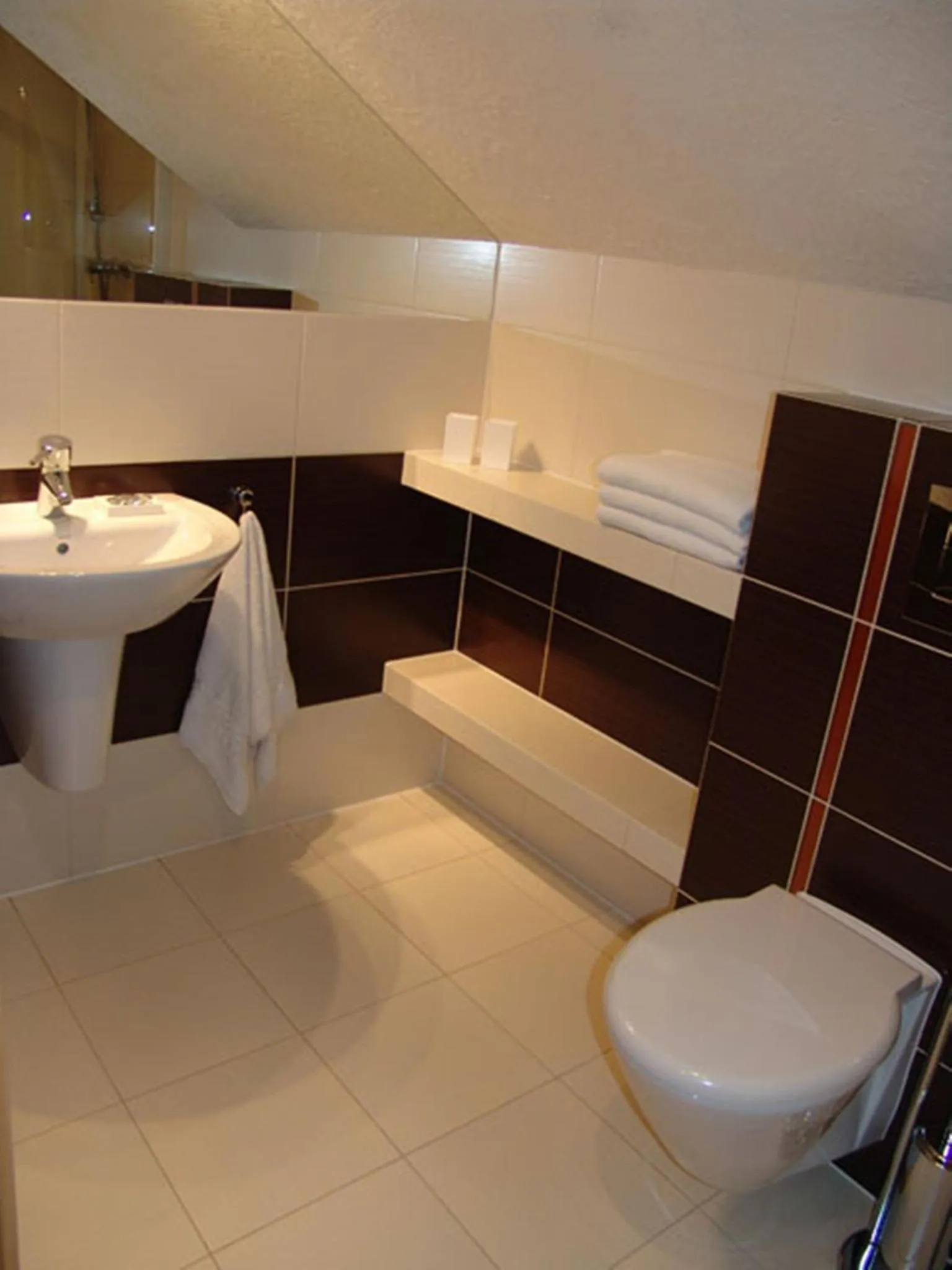 Bathroom in Willa Góralskie Spanie