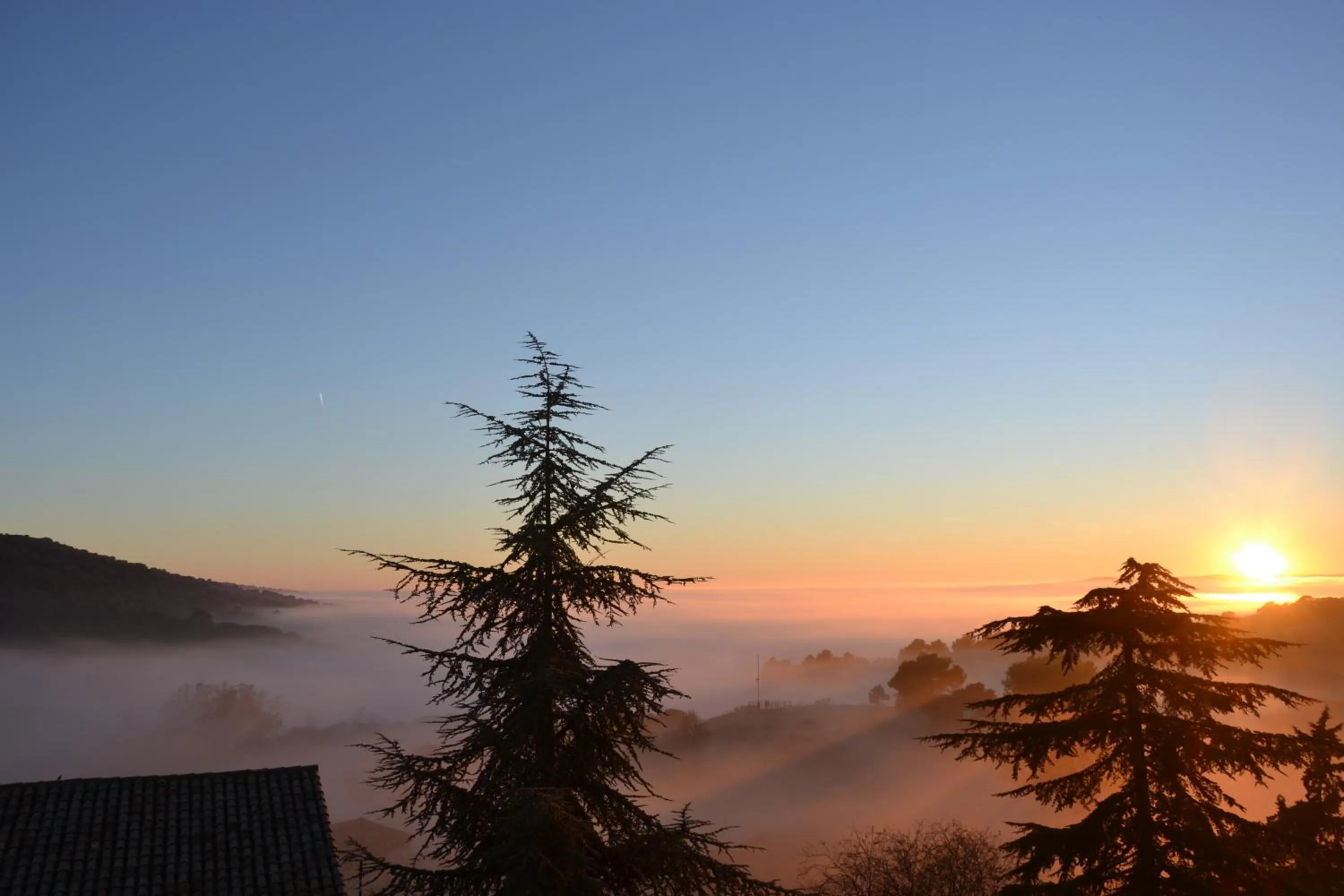 Natural landscape in Monestir de Les Avellanes