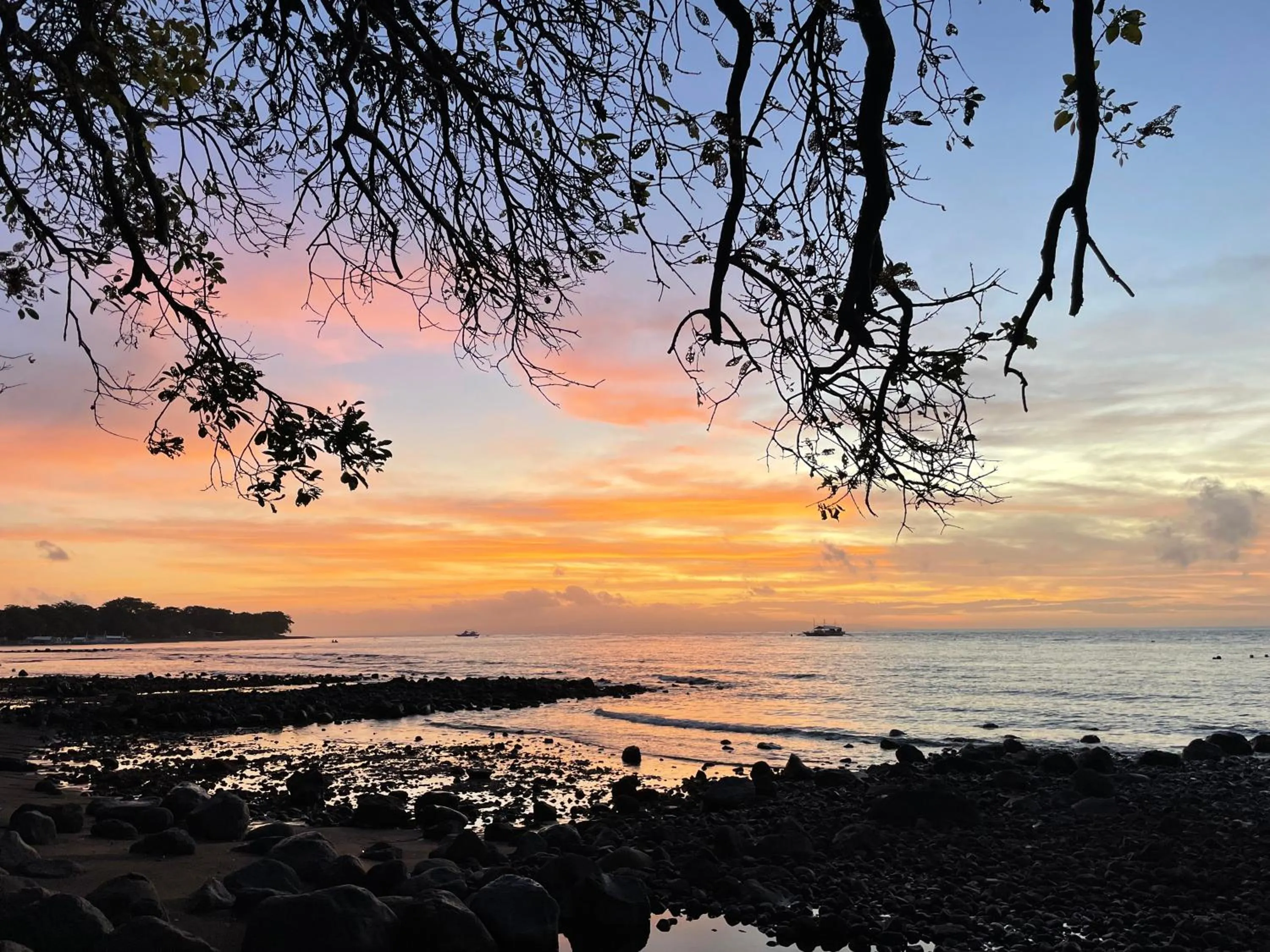 Balcony/Terrace in E-Fun Dive Resort