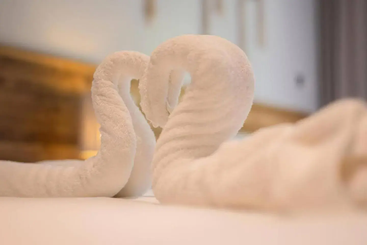 Bedroom, Bed in E-Fun Dive Resort Bedroom, Bed in E-Fun Dive Resort