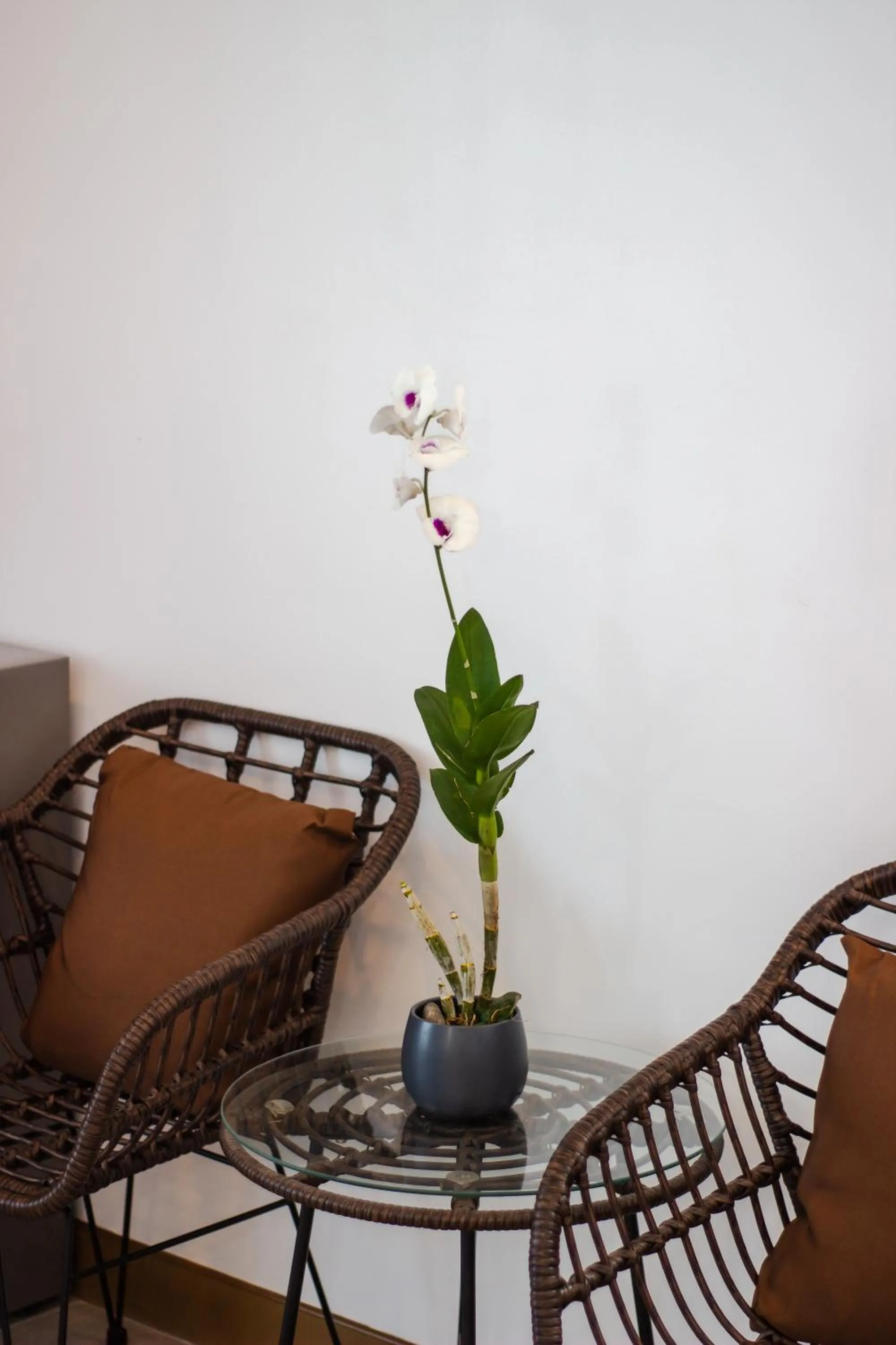 Coast Wise Hotel Dumaguete