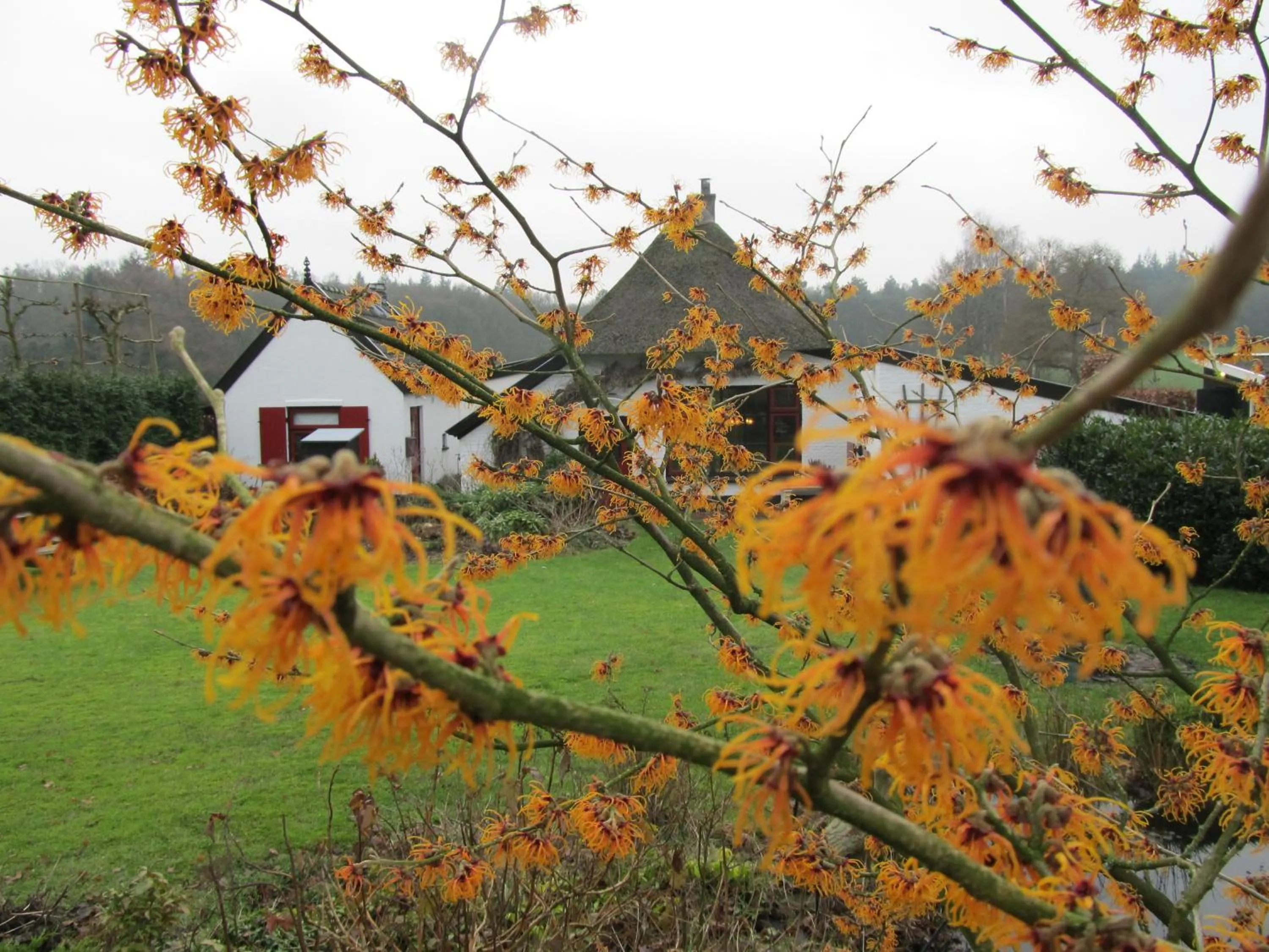 Winter in B&B Het Bakhuis